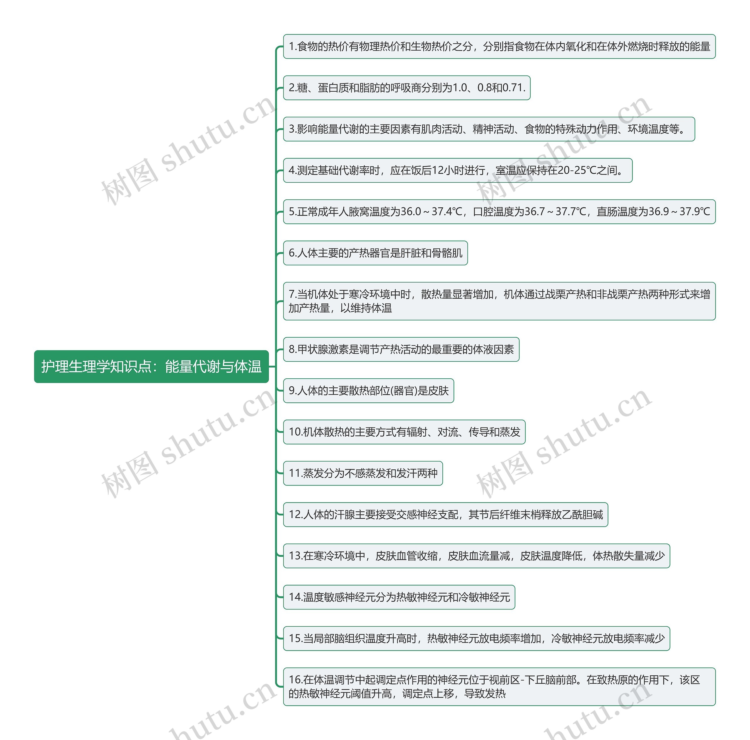 护理生理学知识点:能量代谢与体温思维导图高清图 护理生理学知识点:能量代谢与体温思维导图