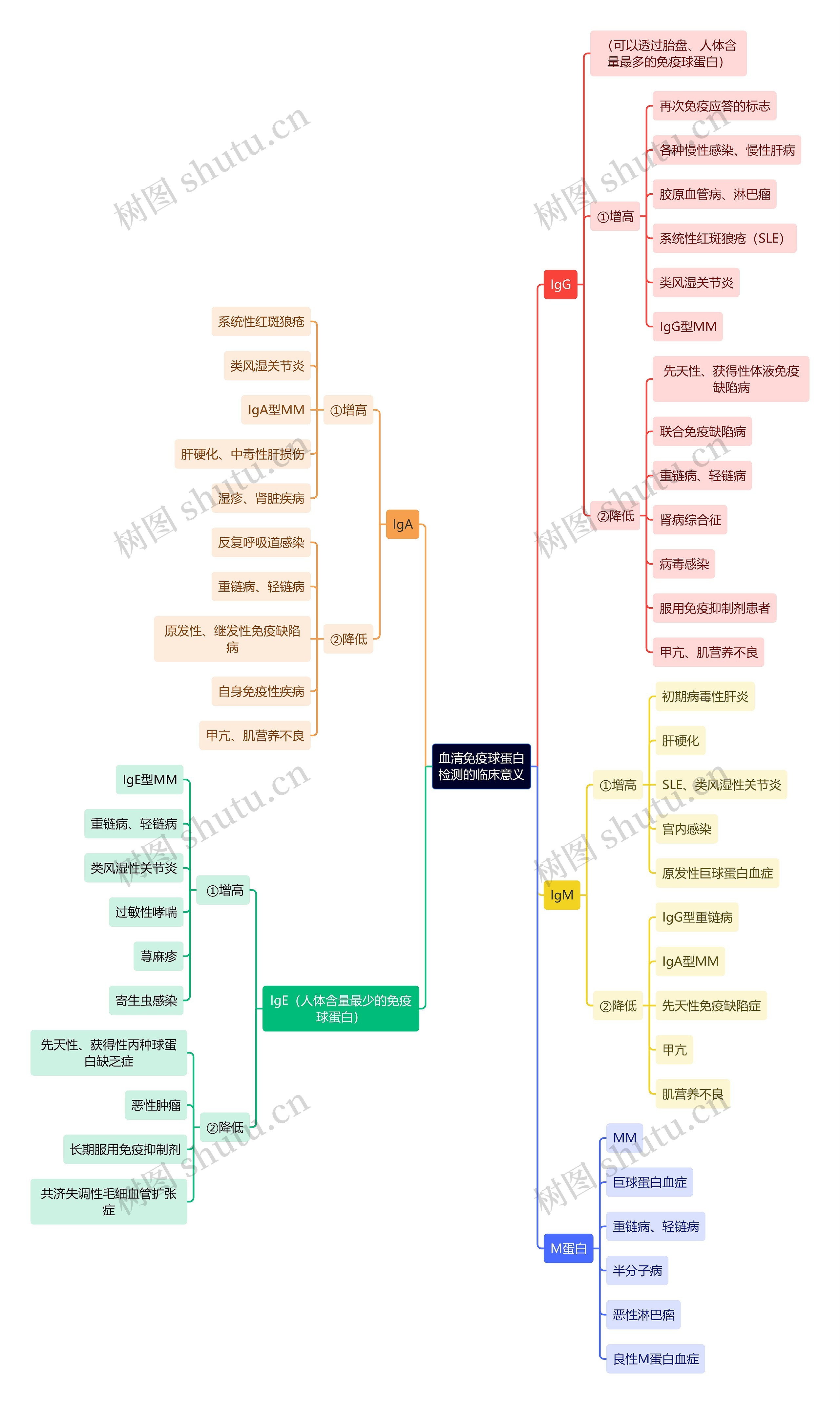 医学知识血清免疫球蛋白检测的临床意义思维导图