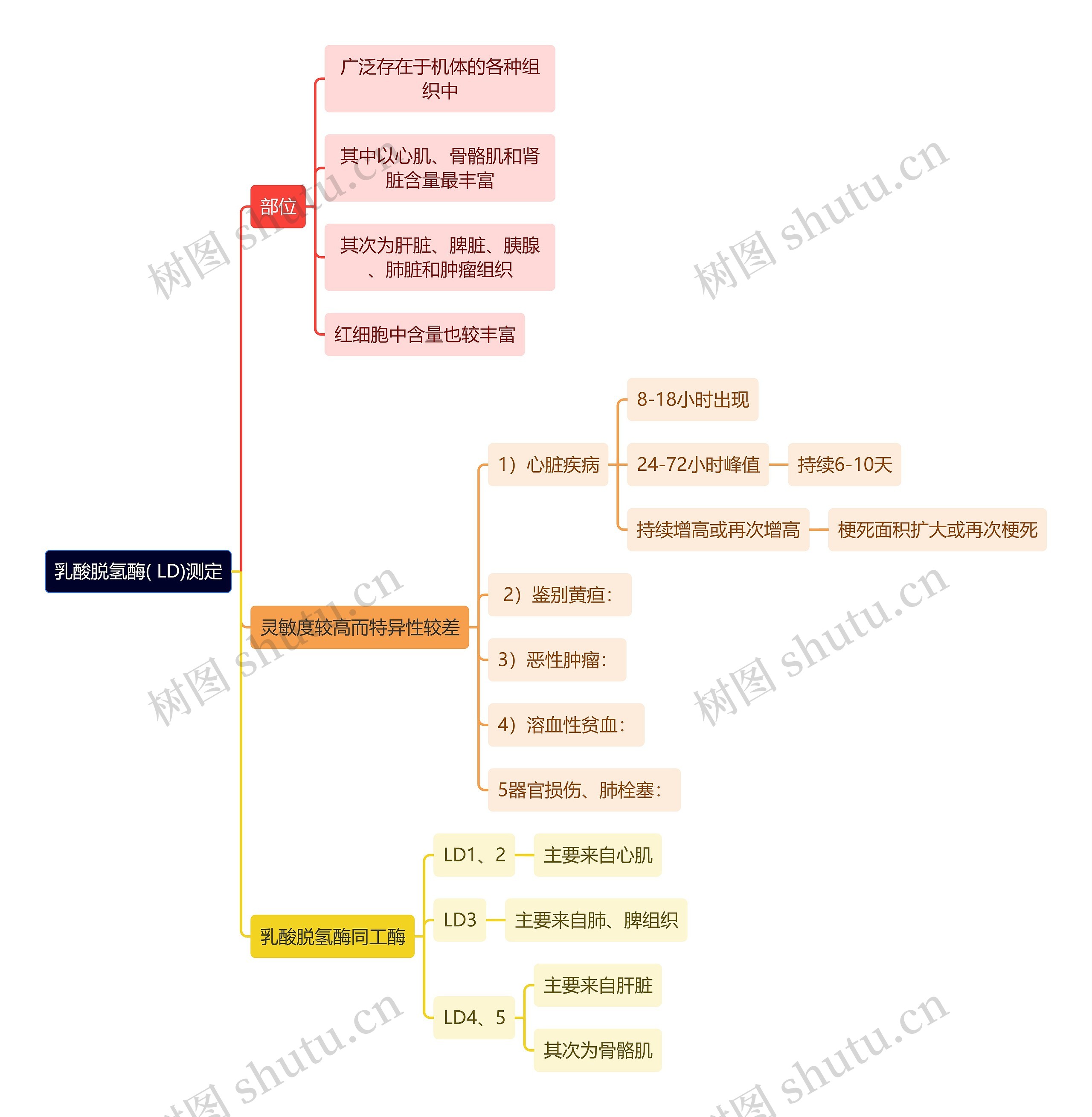 医学知识乳酸脱氢酶( LD)测定思维导图