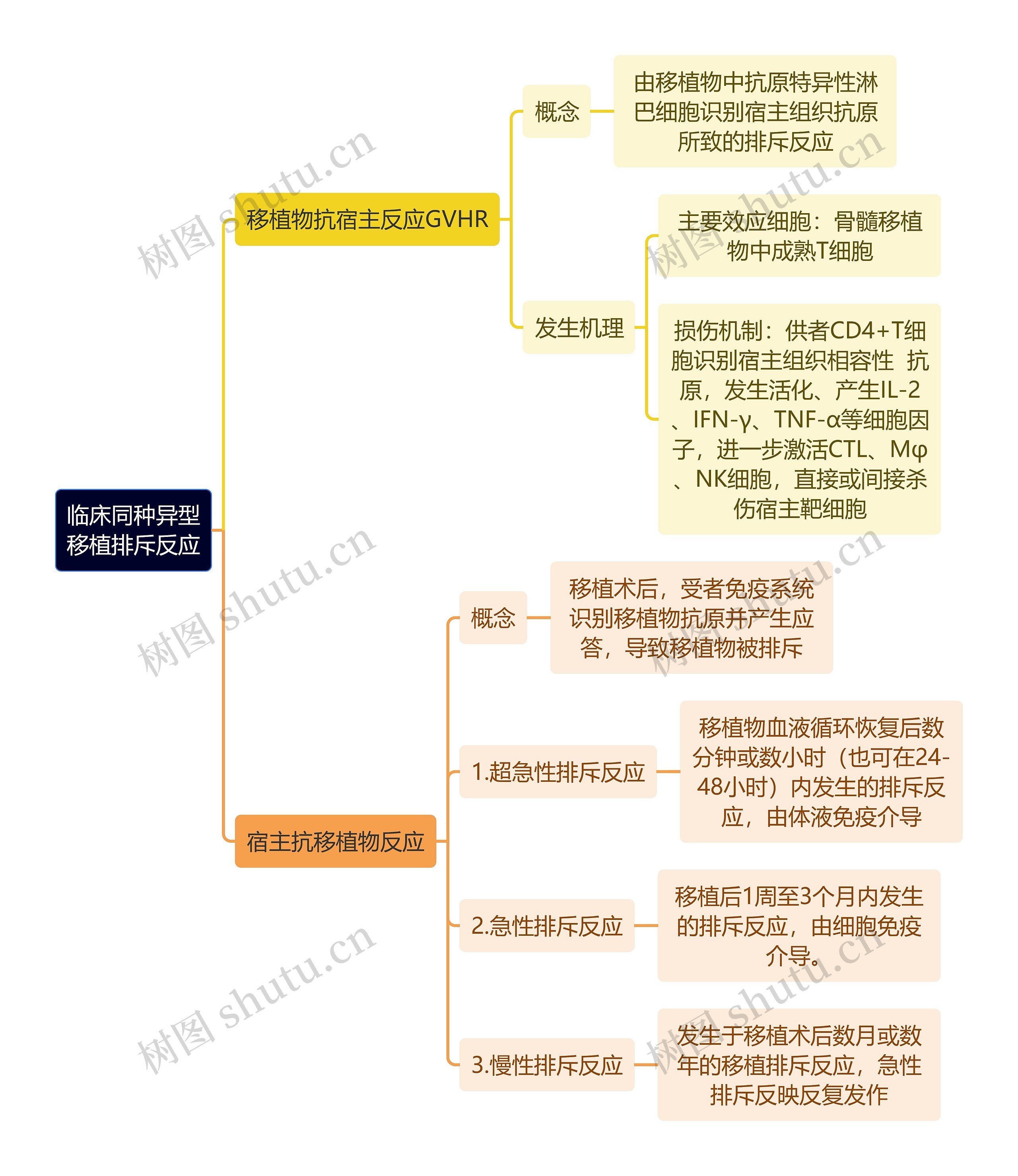 医学知识临床同种异型移植排斥反应思维导图