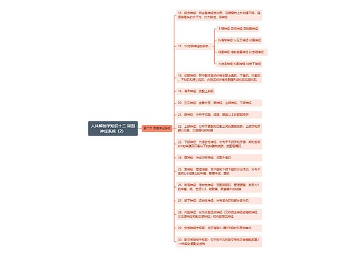 《人体解剖学知识十二 周围神经系统（2）》思维导图