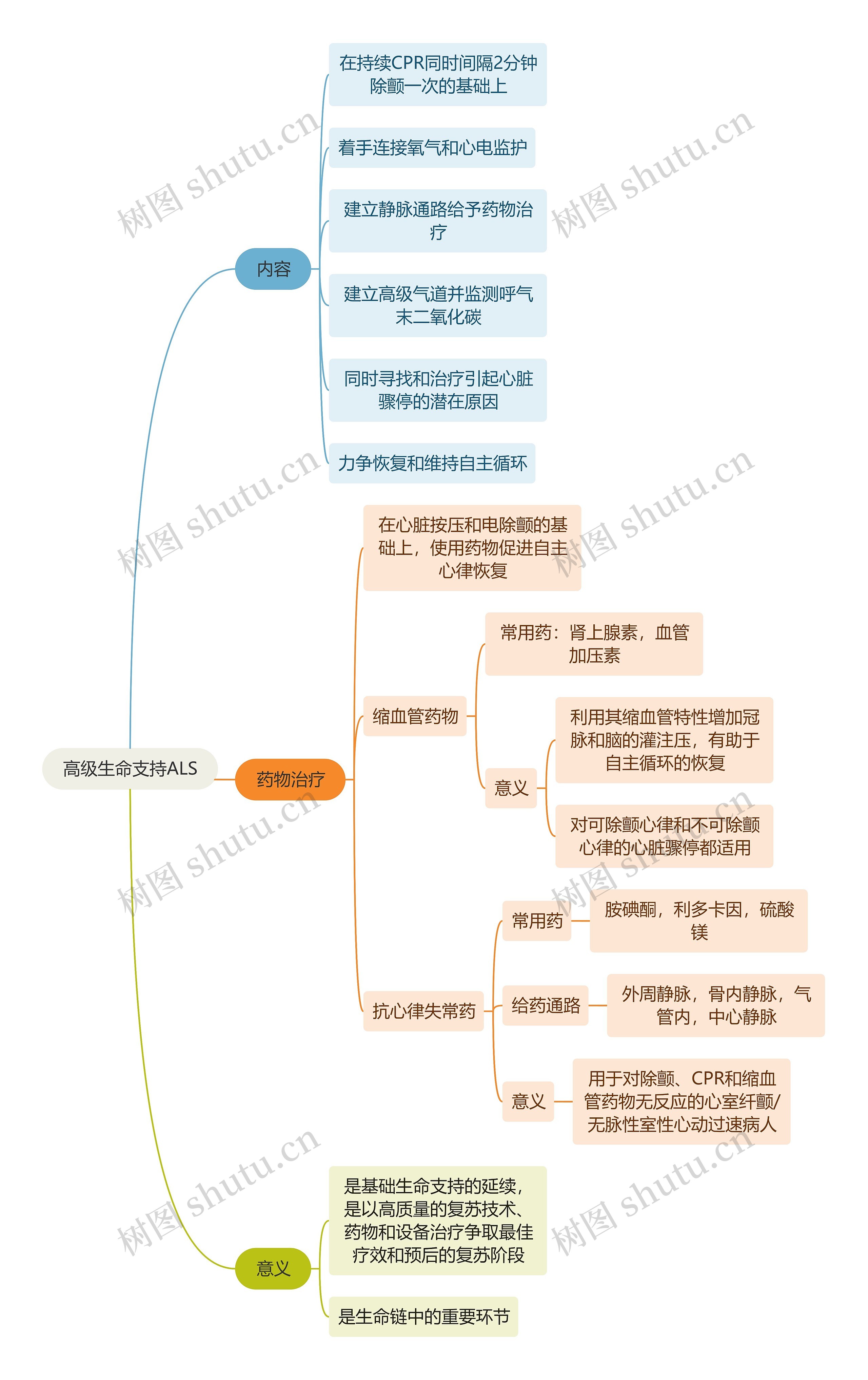 医学知识高级生命支持ALS思维导图