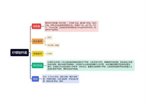 柠檬酸杆菌