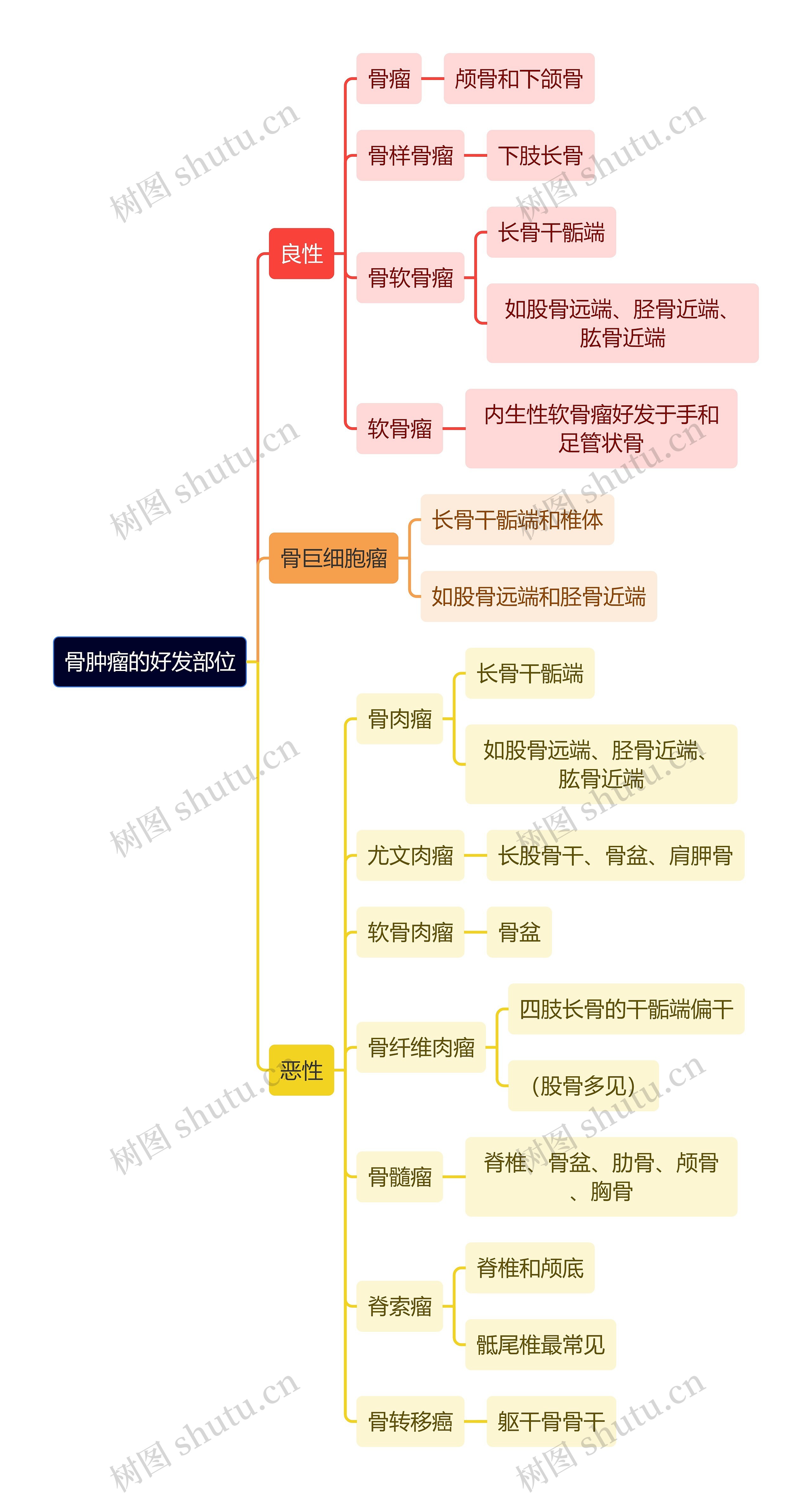 骨学知识骨肿瘤的好发部位思维导图