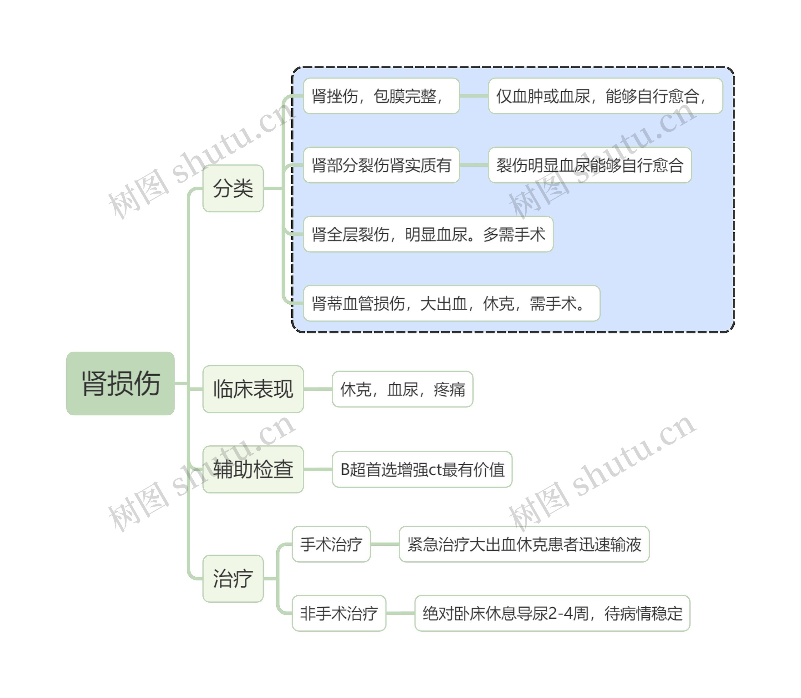 内科学肾损伤思维导图