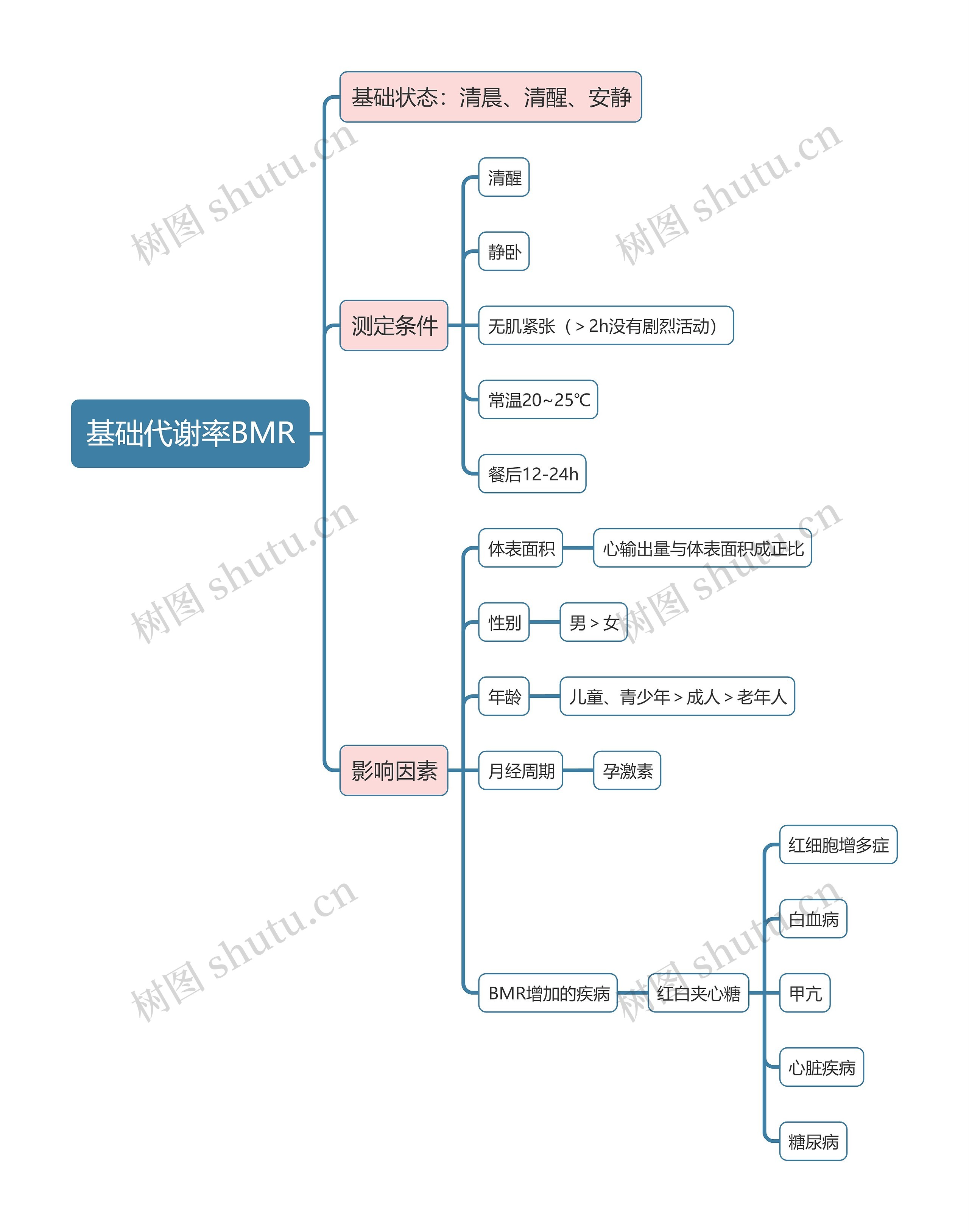 医学知识基础代谢率BMR思维导图