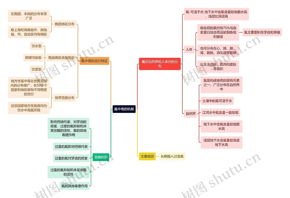 医学知识氟中毒的机制思维导图_编号t6475711-TreeMind树图