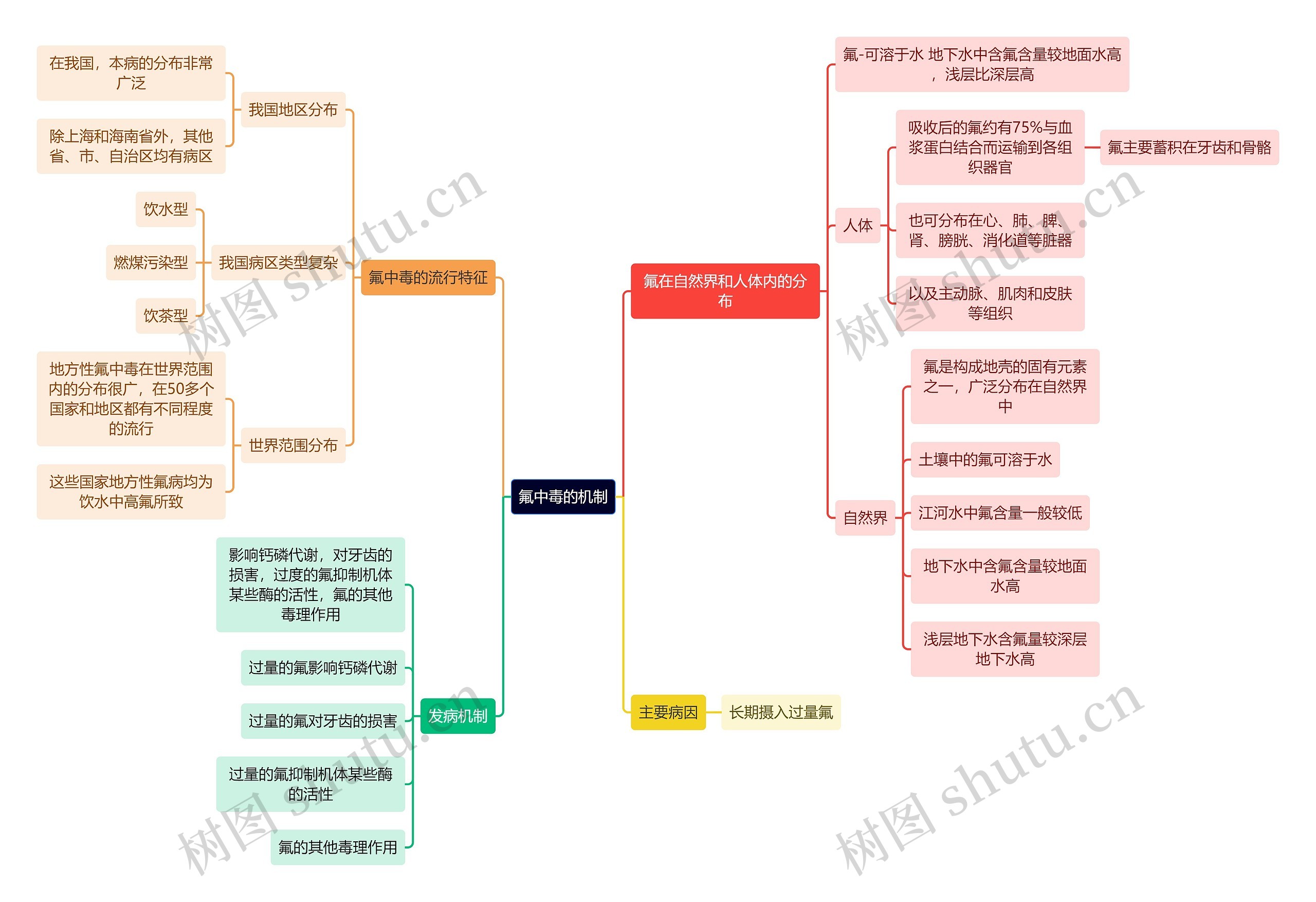 医学知识氟中毒的机制思维导图