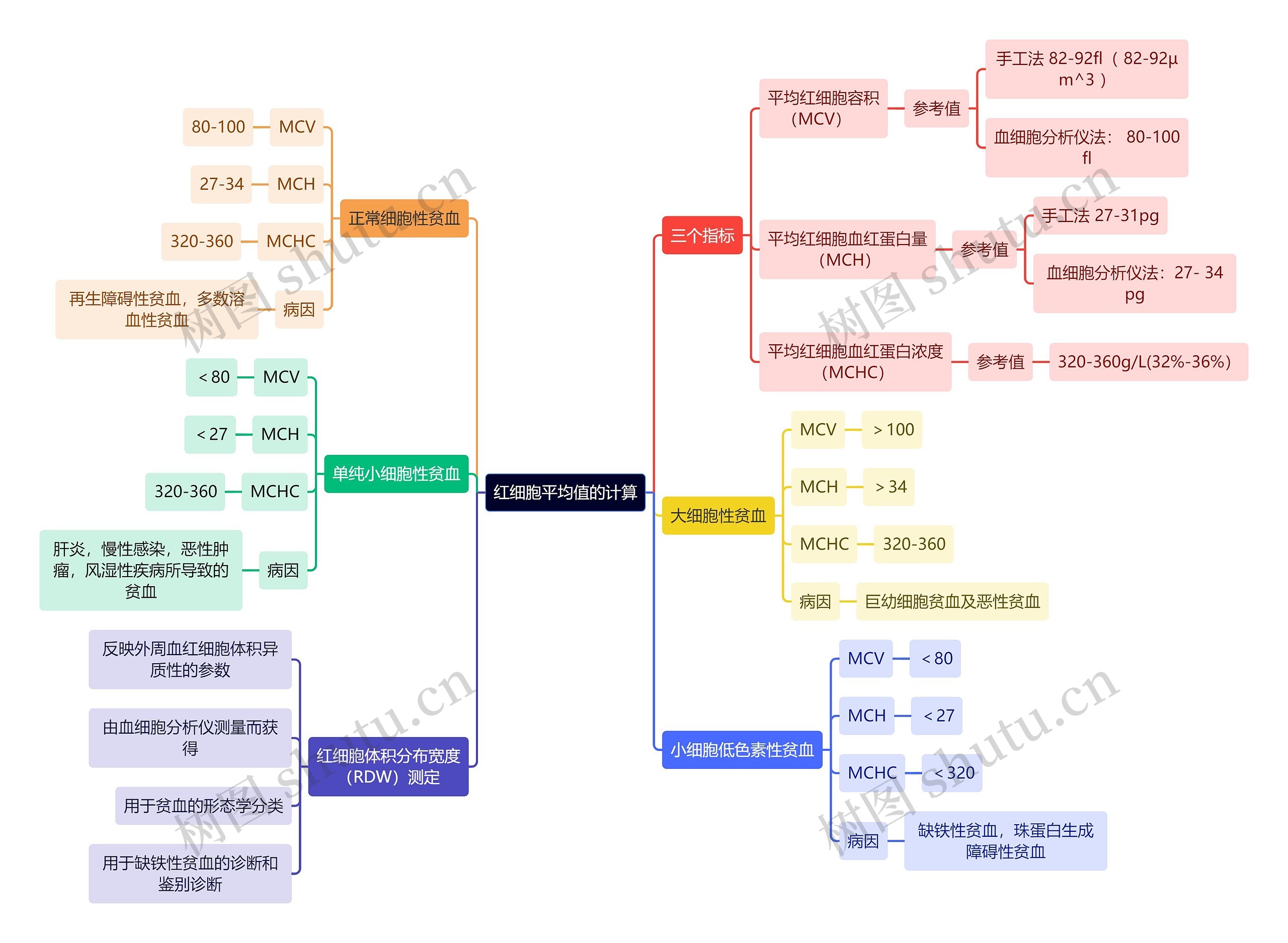 医学知识红细胞平均值的计算思维导图