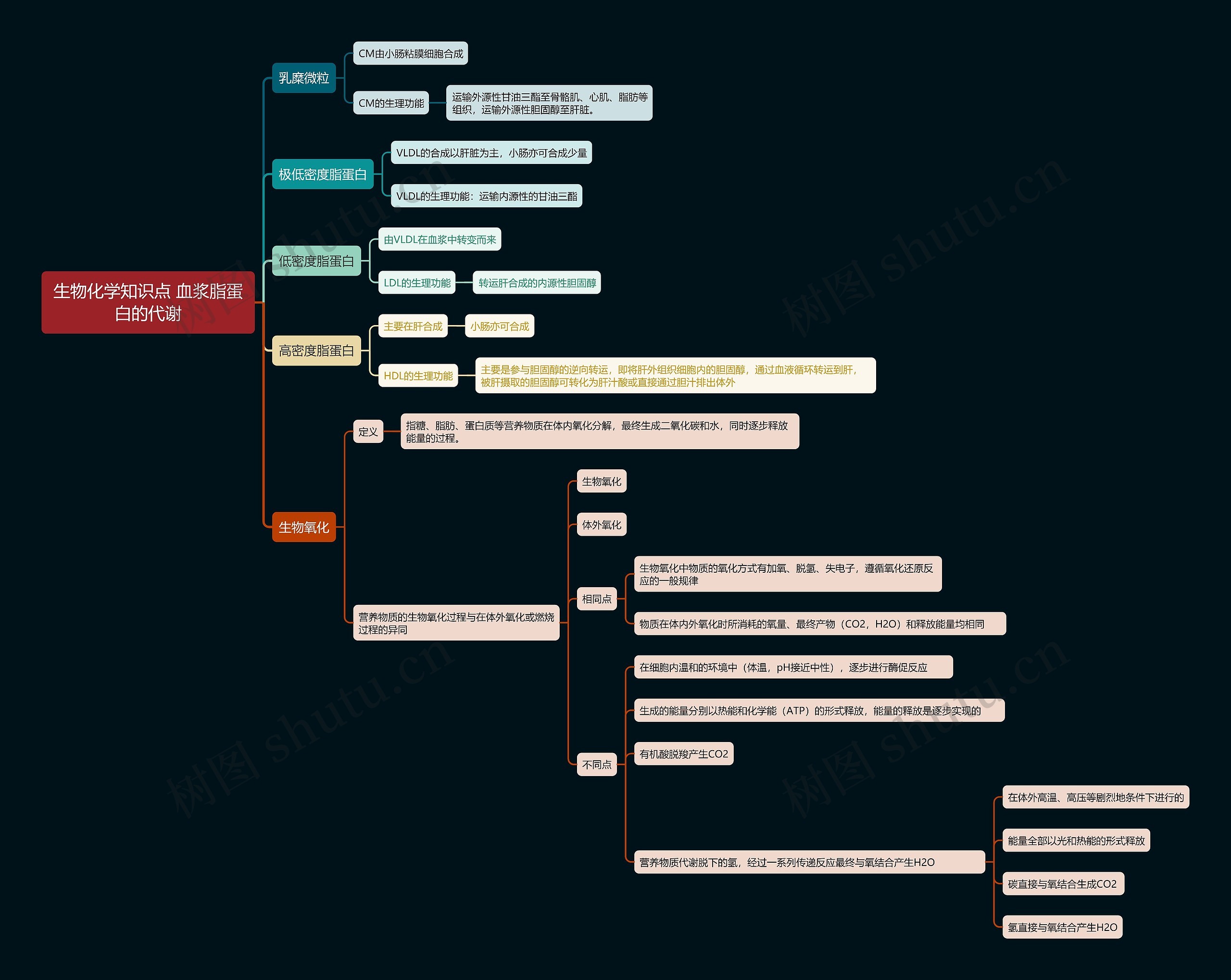 生物化学知识点 血浆脂蛋白的代谢思维导图