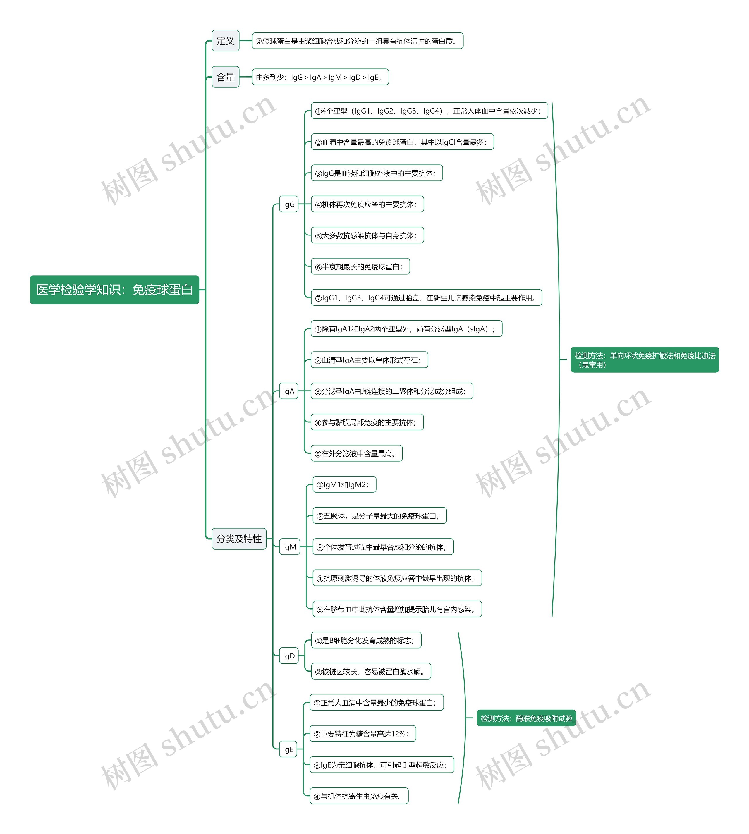 医学检验学知识：免疫球蛋白思维导图