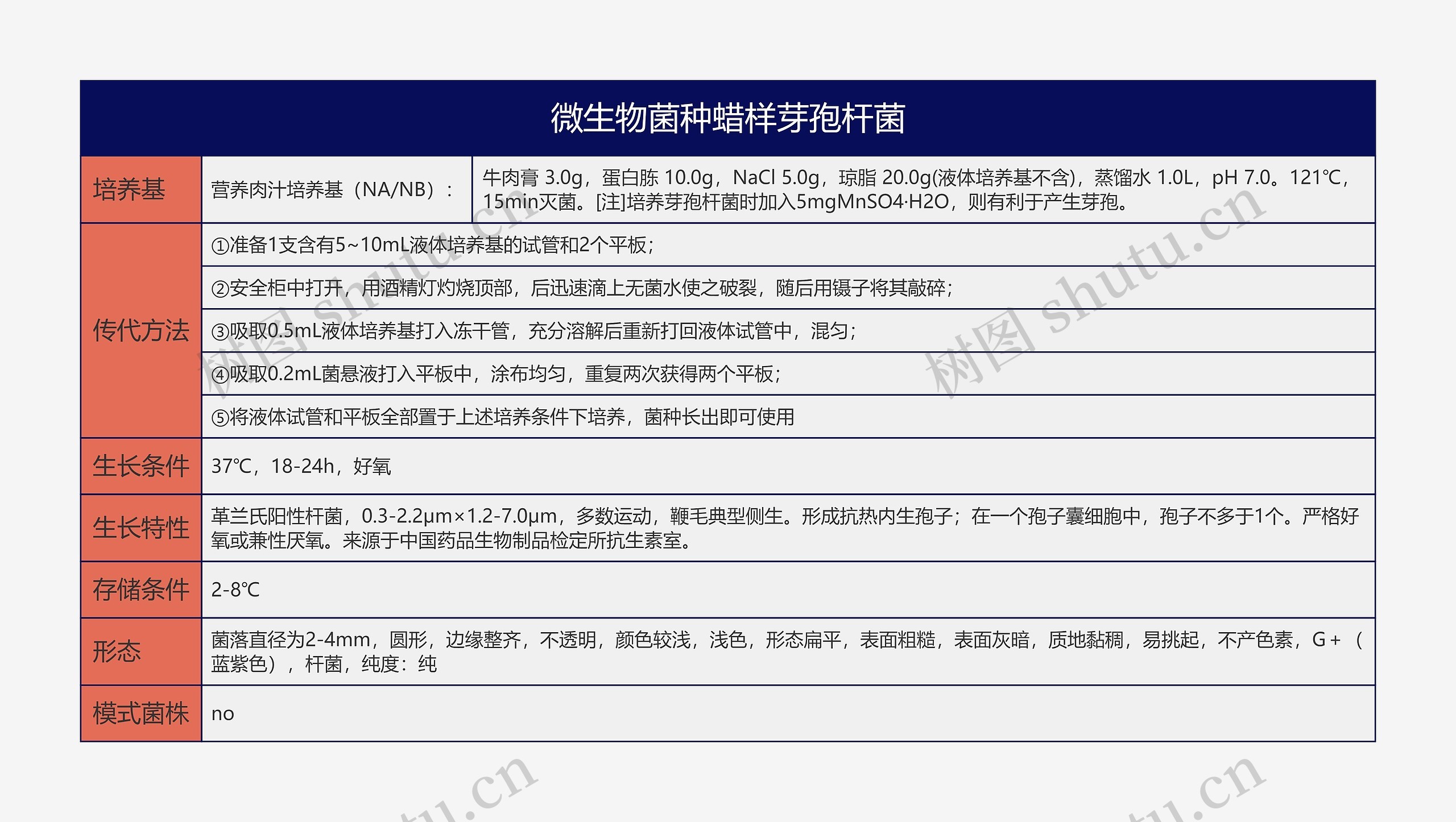 微生物菌种蜡样芽孢杆菌思维导图