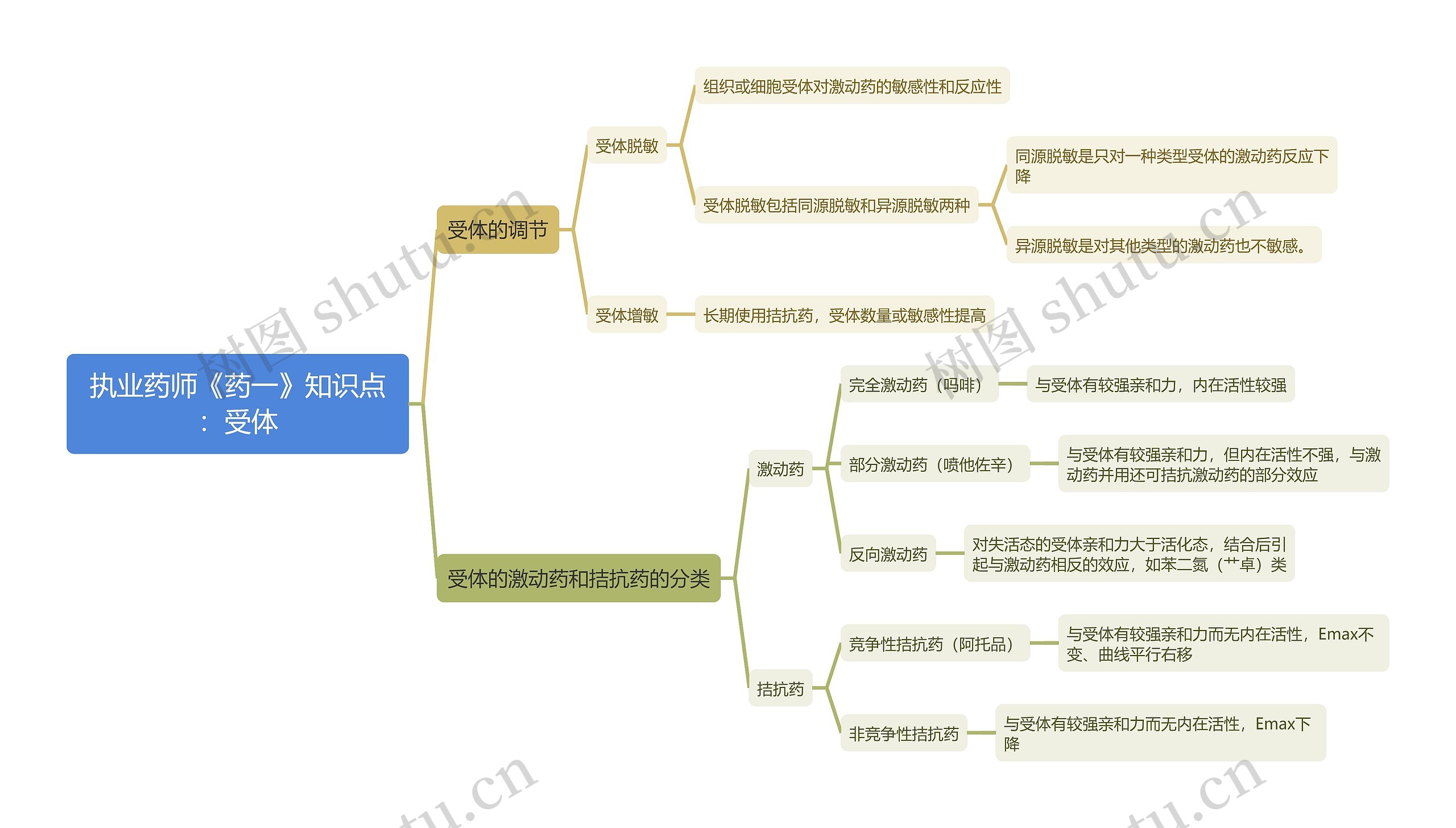 执业药师《药一》知识点：受体