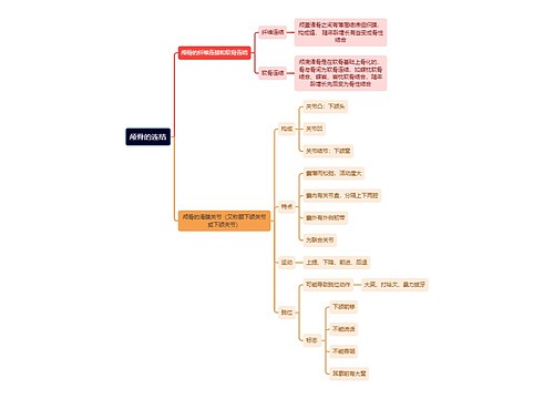 解剖学知识颅骨的连结思维导图