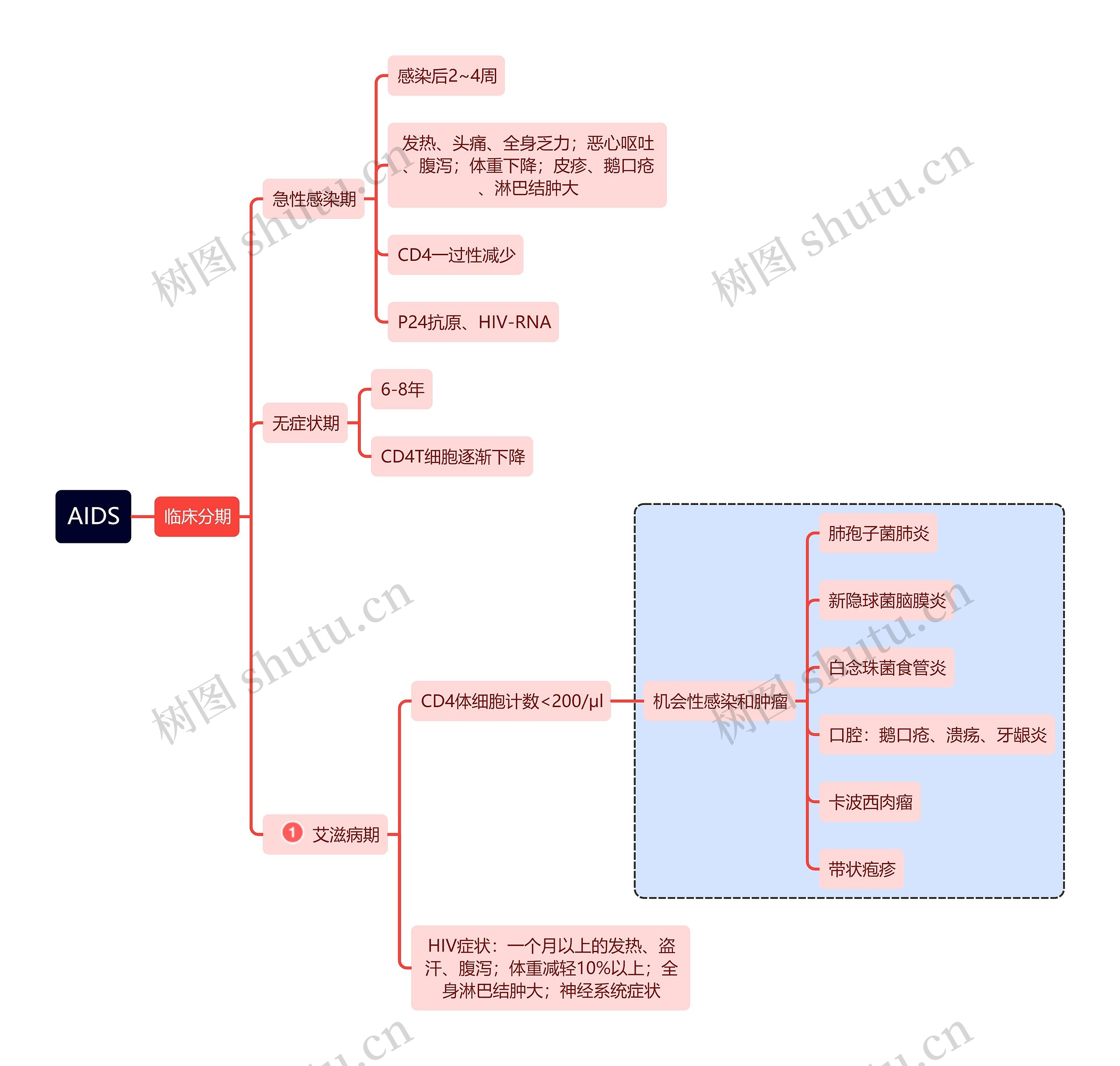 医学知识AIDS分期思维导图