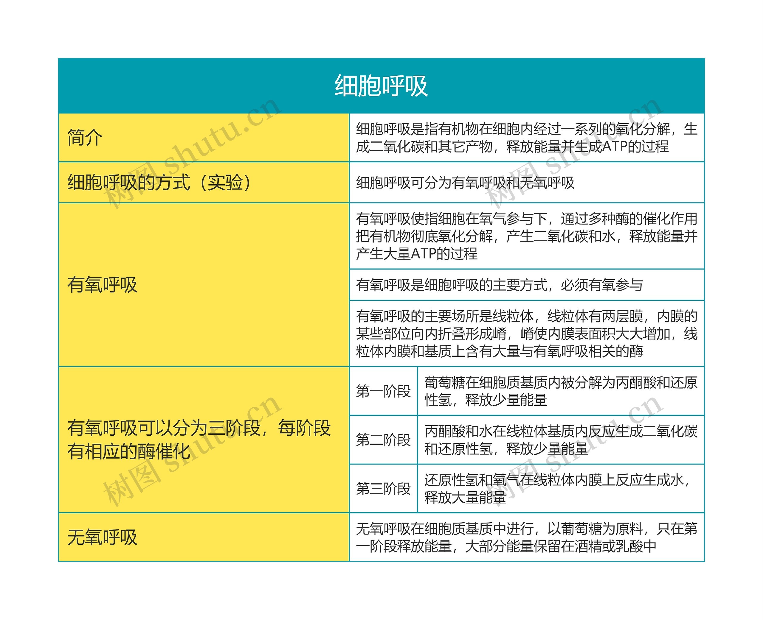 高中生物必修一第五单元细胞呼吸思维导图