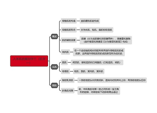 人体系统解剖学肌学专辑-1