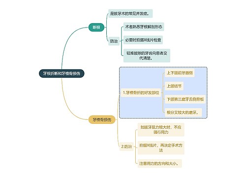 医学知识牙根折断和牙槽骨损伤思维导图