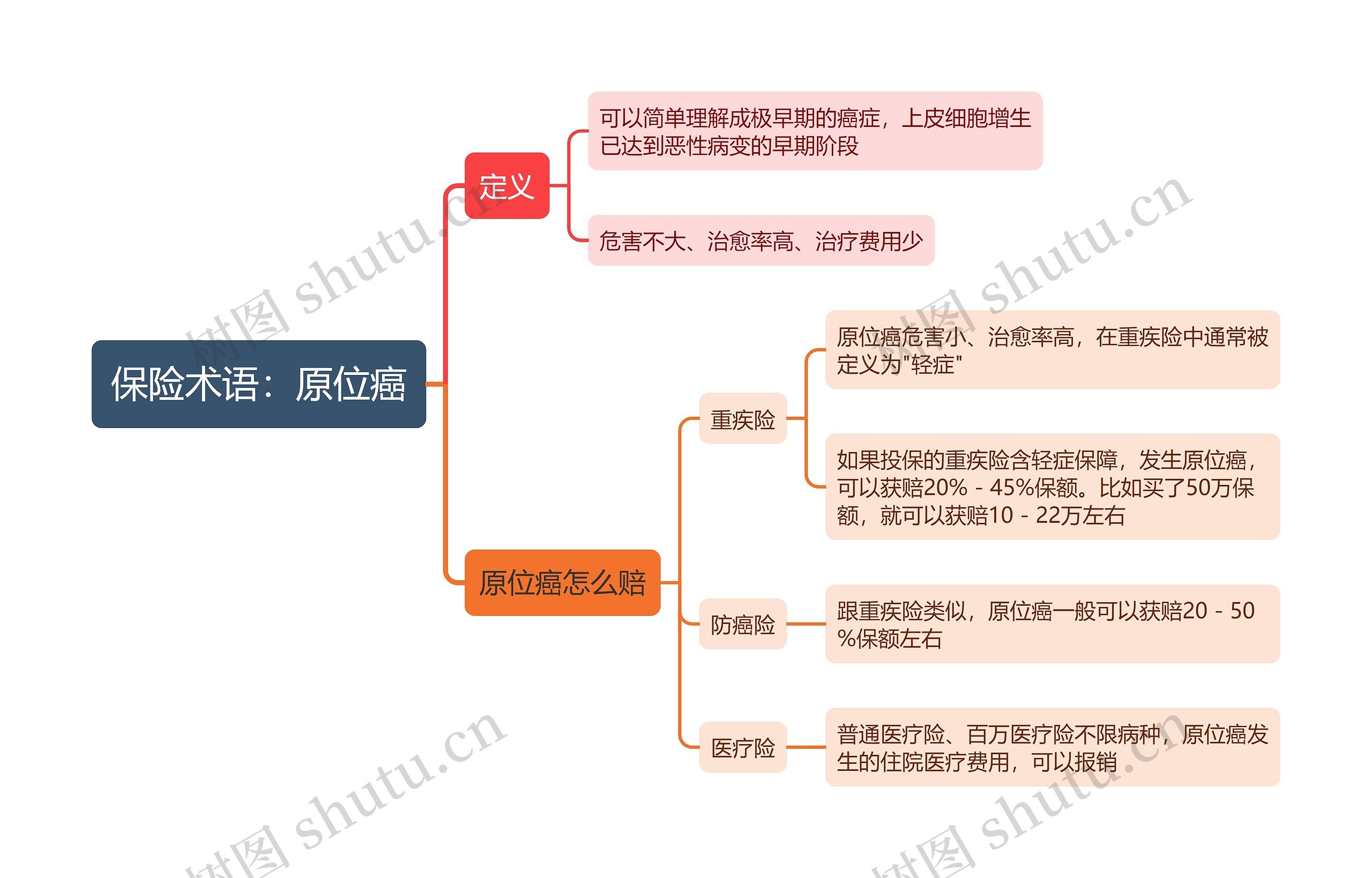 保险术语：原位癌思维导图