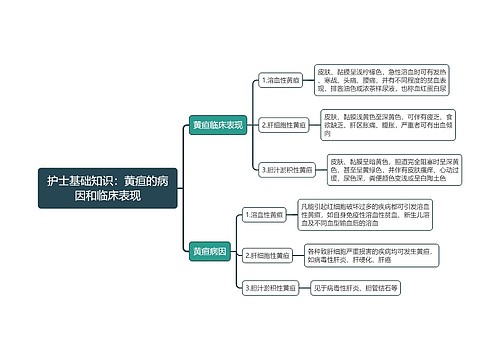 护士基础知识：黄疸的病因和临床表现