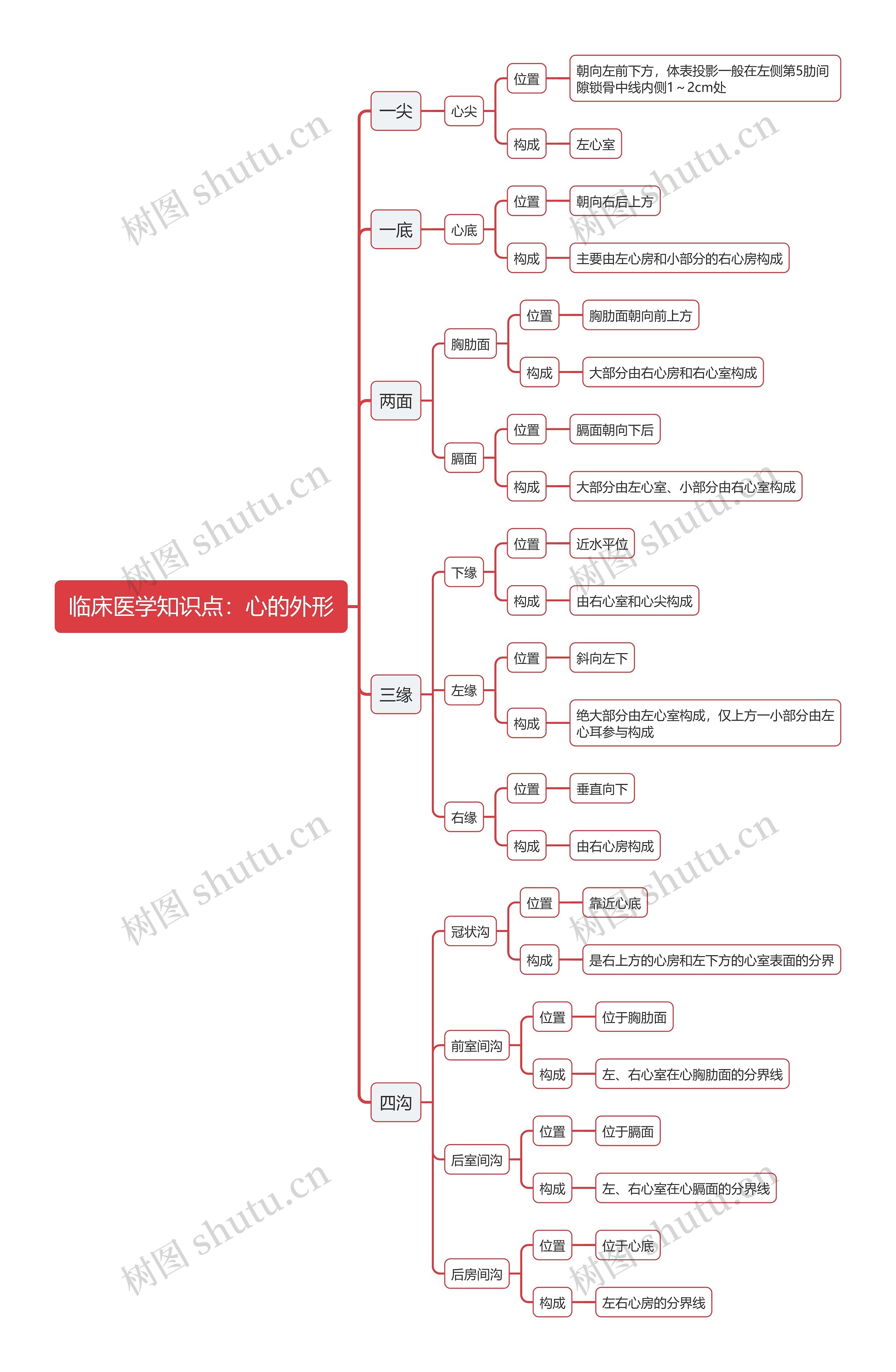 临床医学知识点：心的外形思维导图