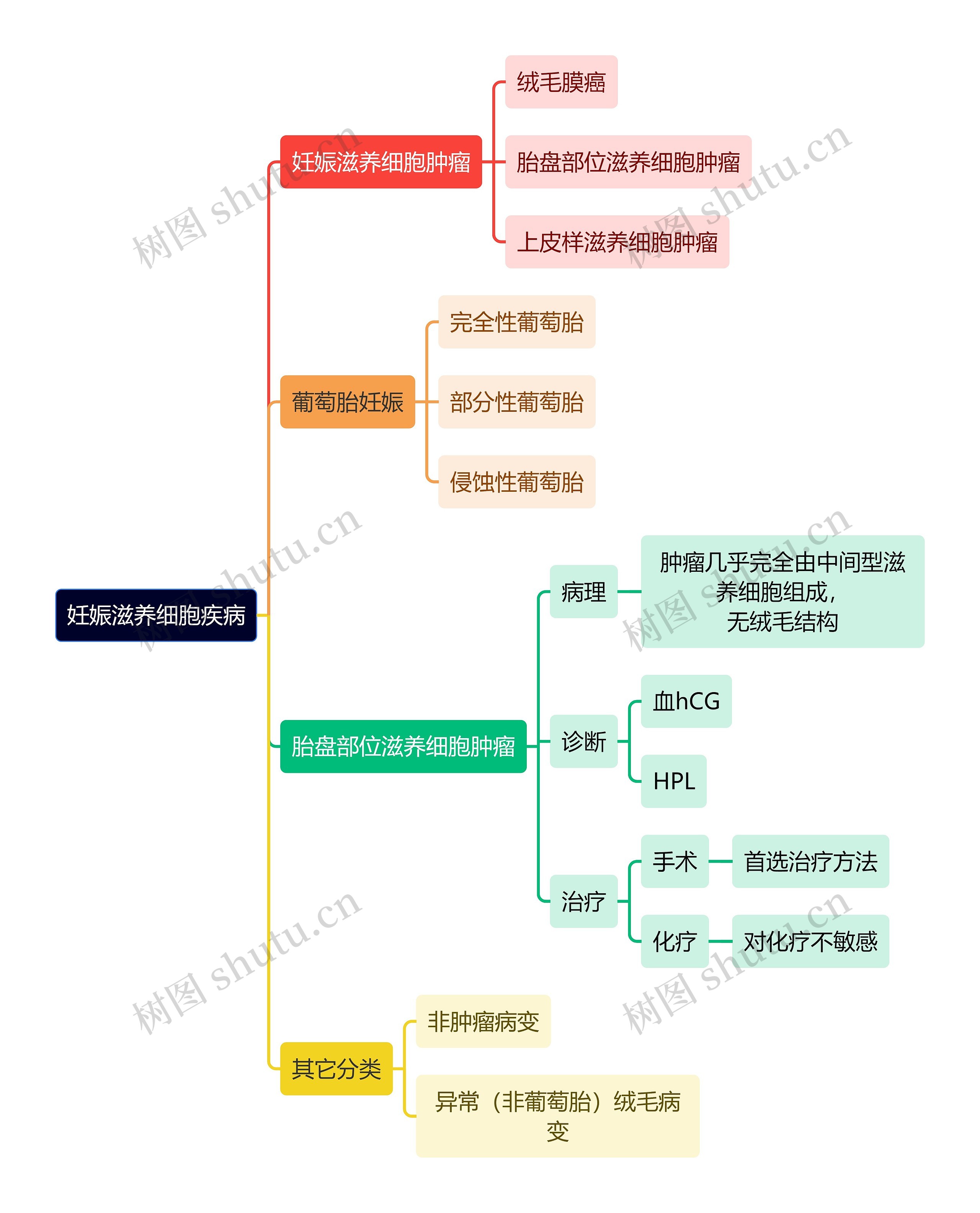 医学知识妊娠滋养细胞疾病思维导图