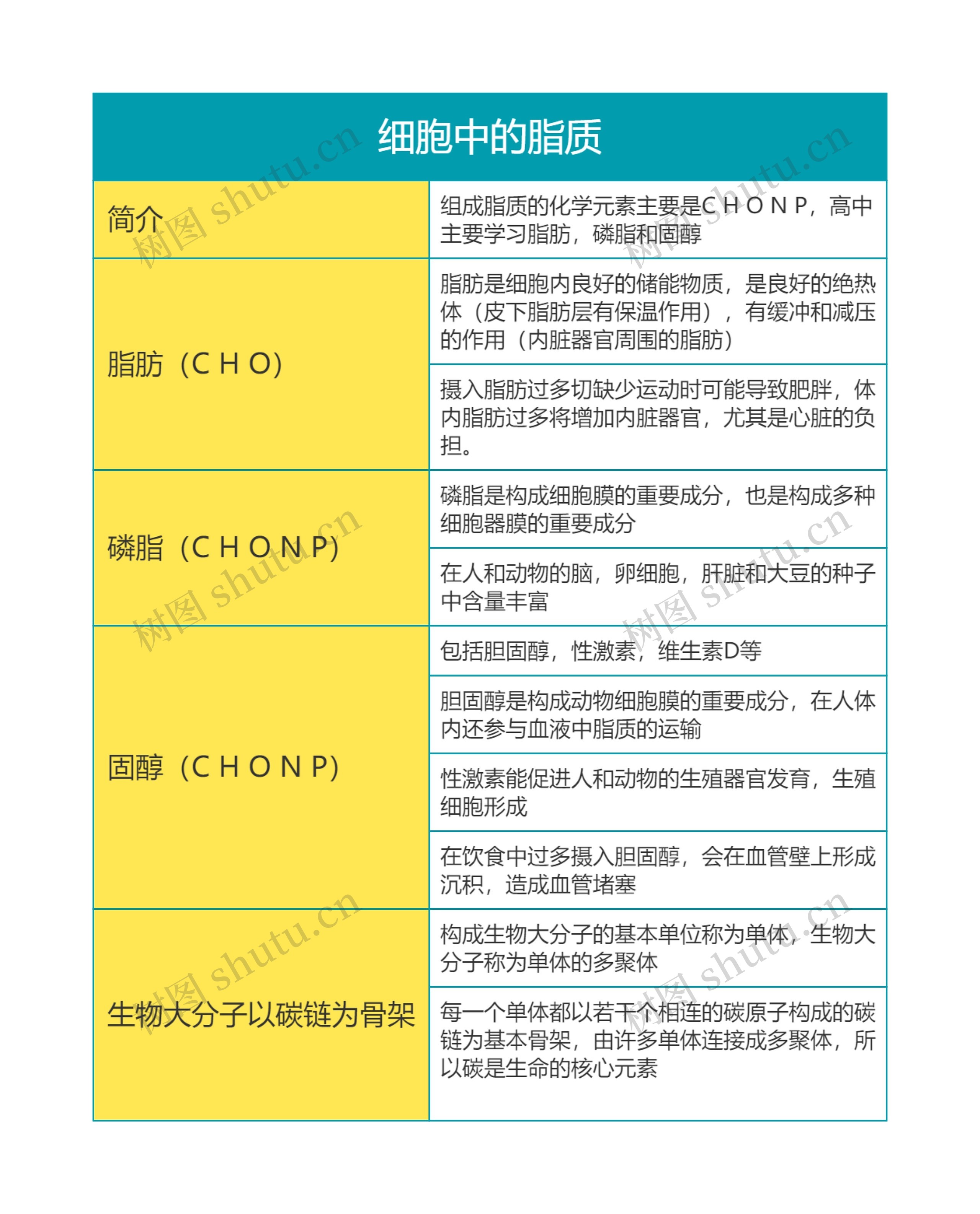 高中生物必修一第二单元细胞中的脂质思维导图