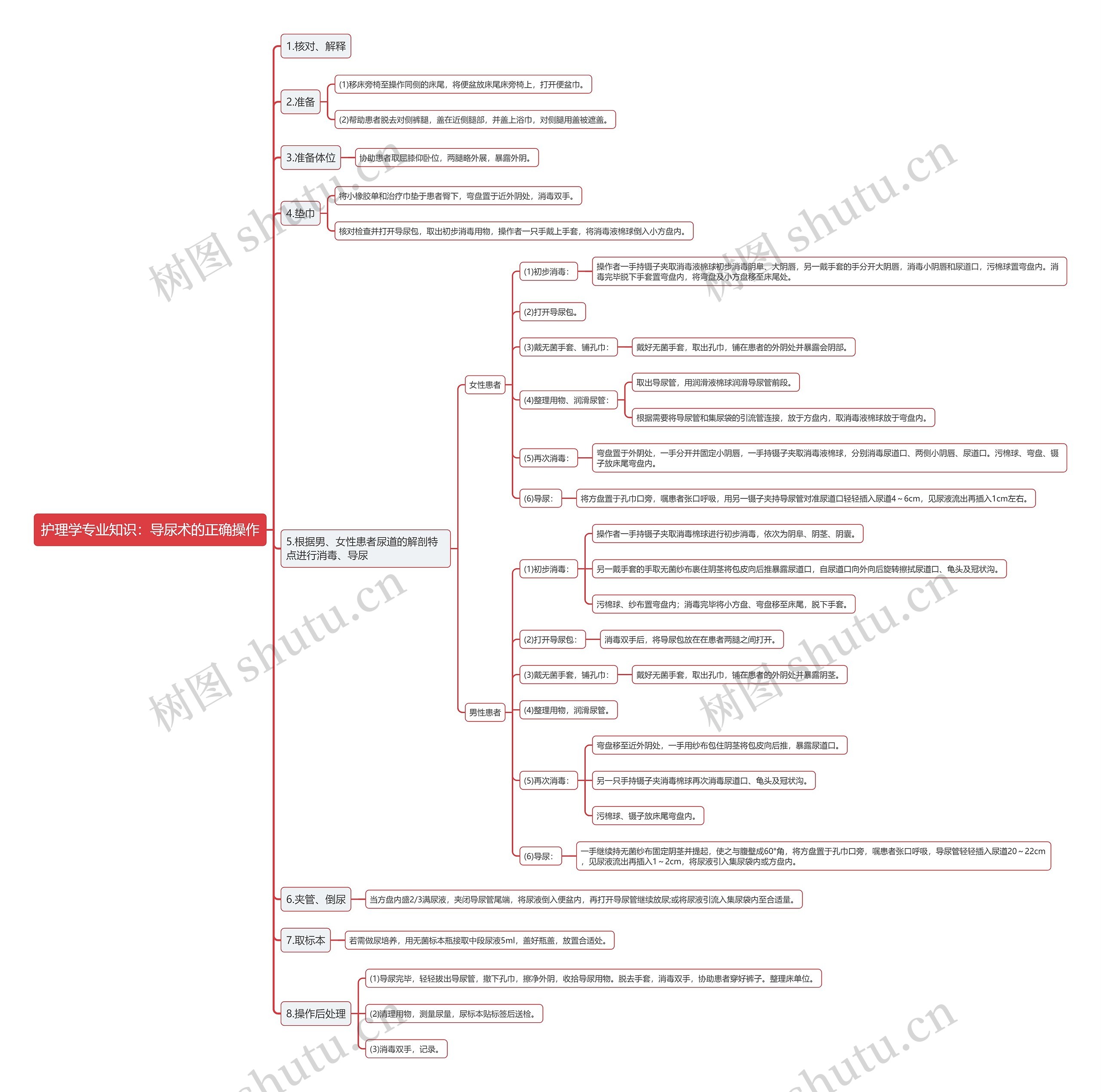 护理学专业知识：导尿术的正确操作思维导图