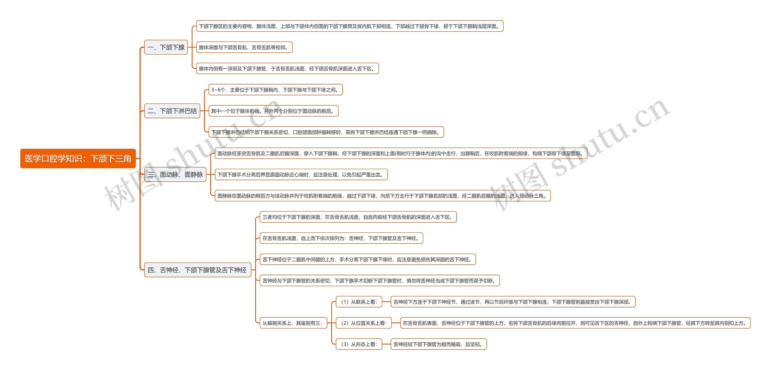 医学口腔学知识：下颌下三角思维导图