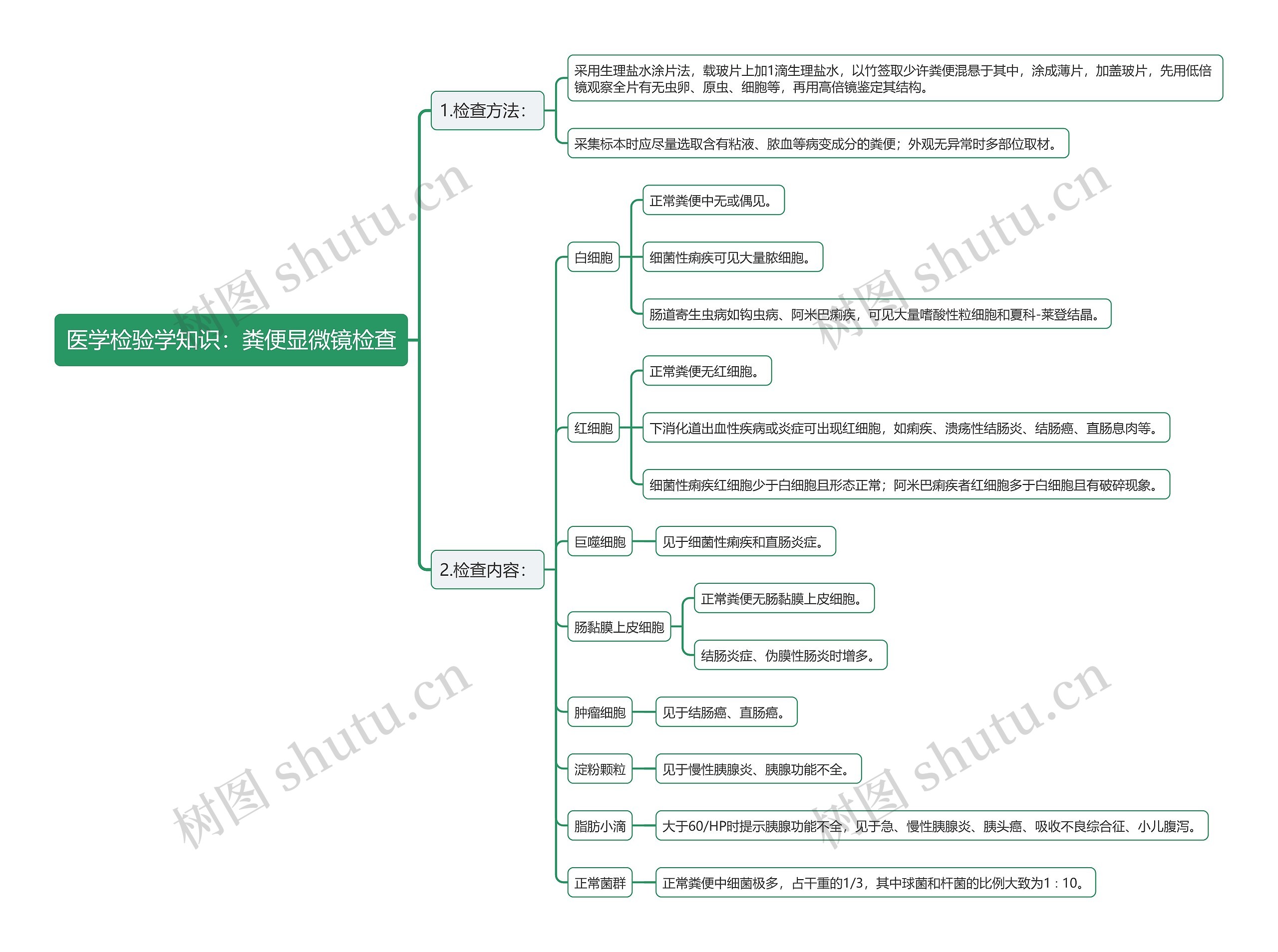 医学检验学知识：粪便显微镜检查思维导图