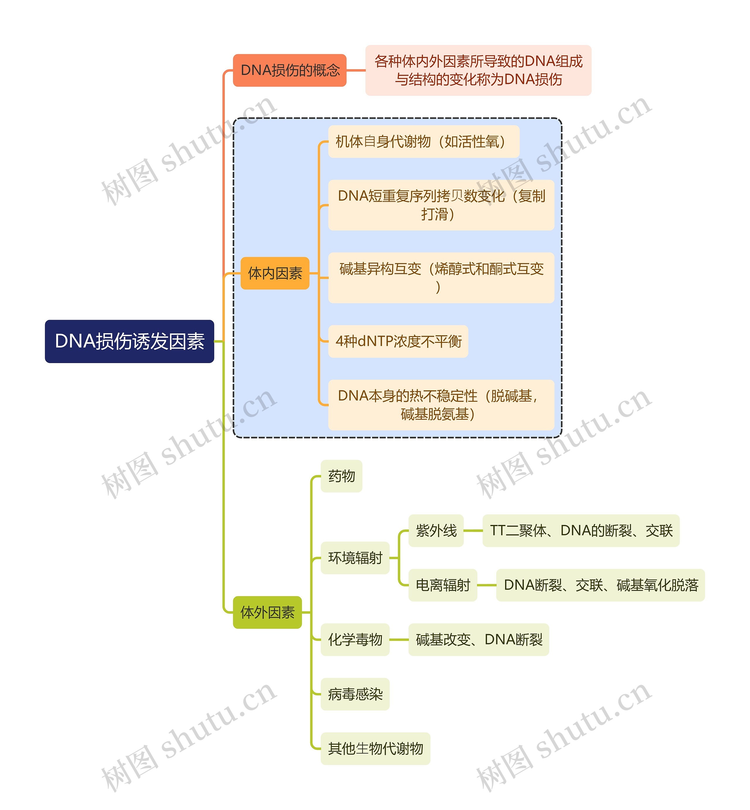 医学知识DNA损伤诱发因素思维导图