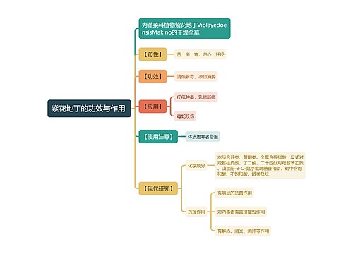 紫花地丁的功效与作用
