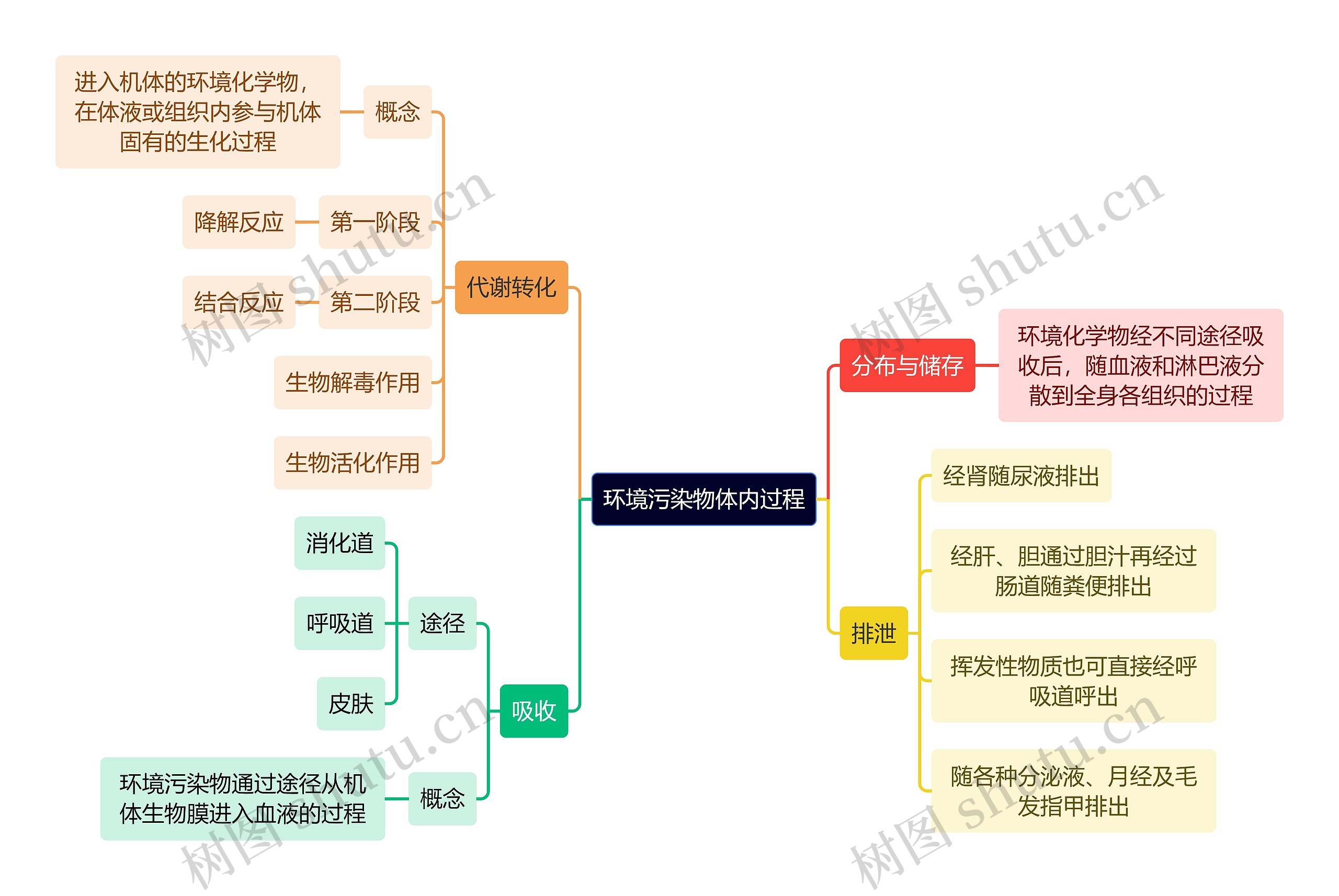 医学知识环境污染物体内过程思维导图