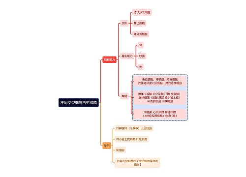 医学知识不同类型细胞再生潜能思维导图