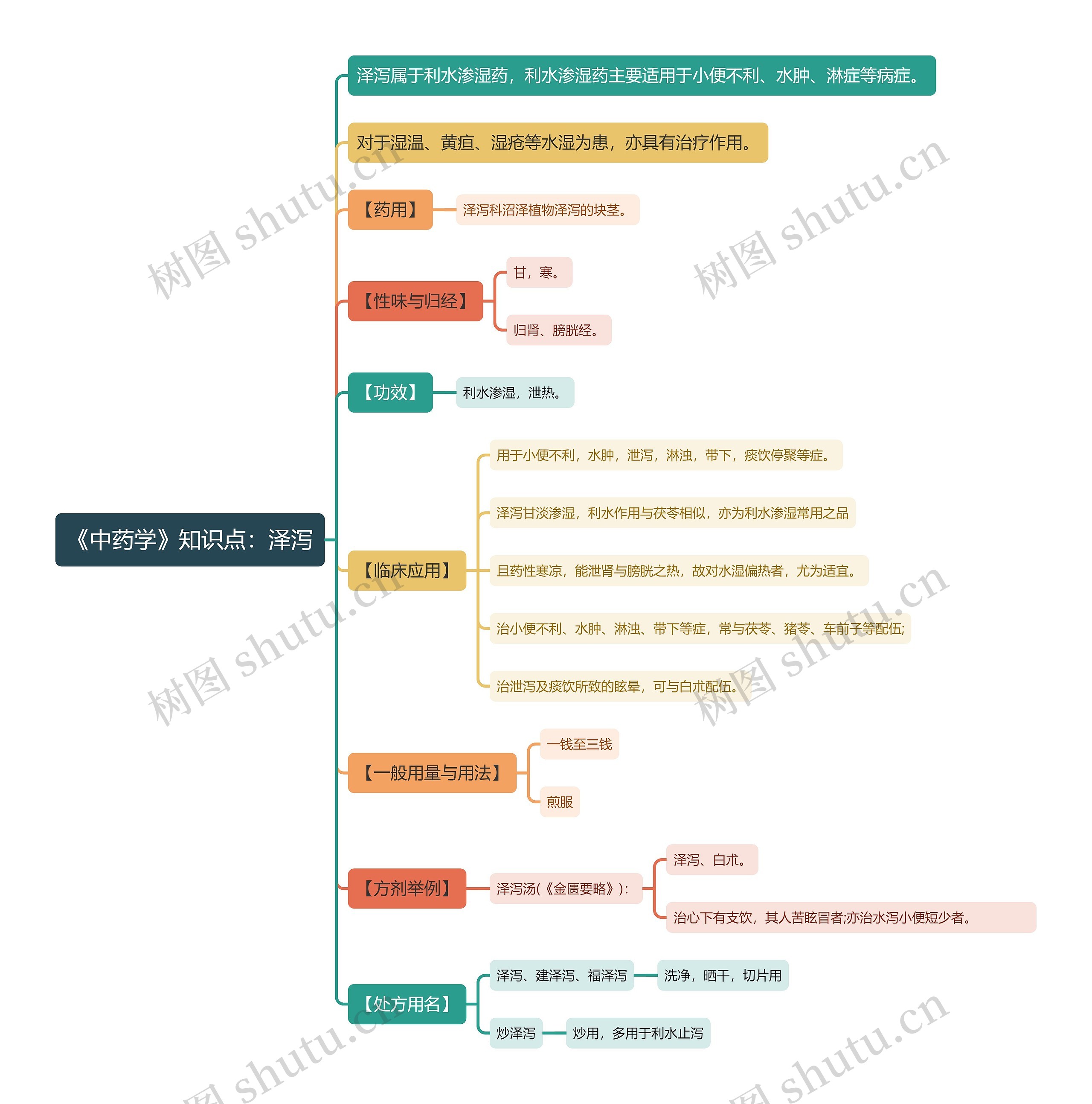 《中药学》知识点：泽泻思维导图