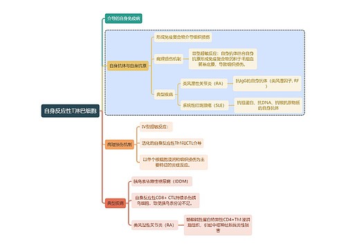医学知识自身反应性T淋巴细胞思维导图