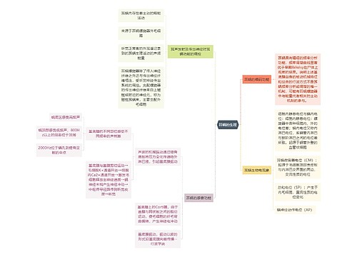 医学知识耳蜗的生理思维导图