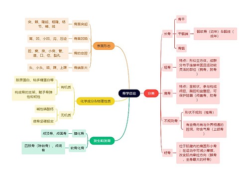 解剖学知识骨学总论思维导图