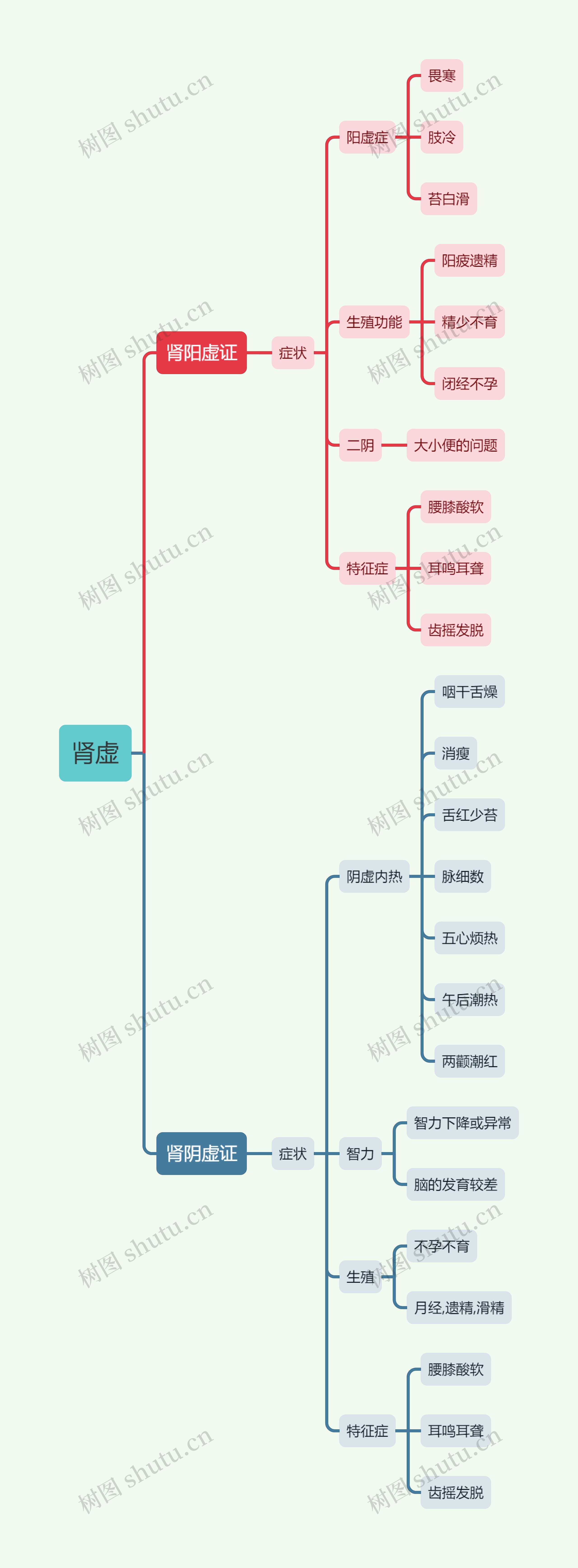 中医知识肾虚思维导图