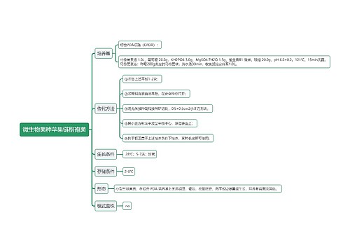 微生物菌种苹果链格孢菌思维导图