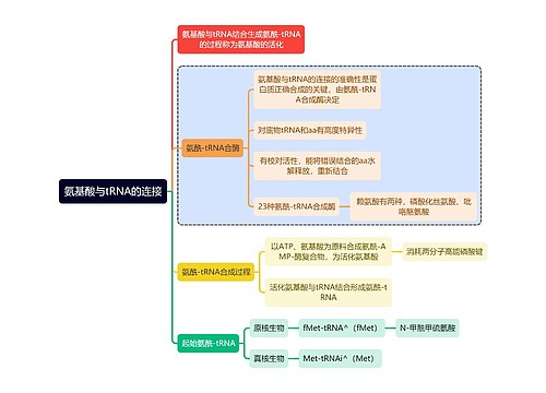 医学知识氨基酸与tRNA的连接思维导图