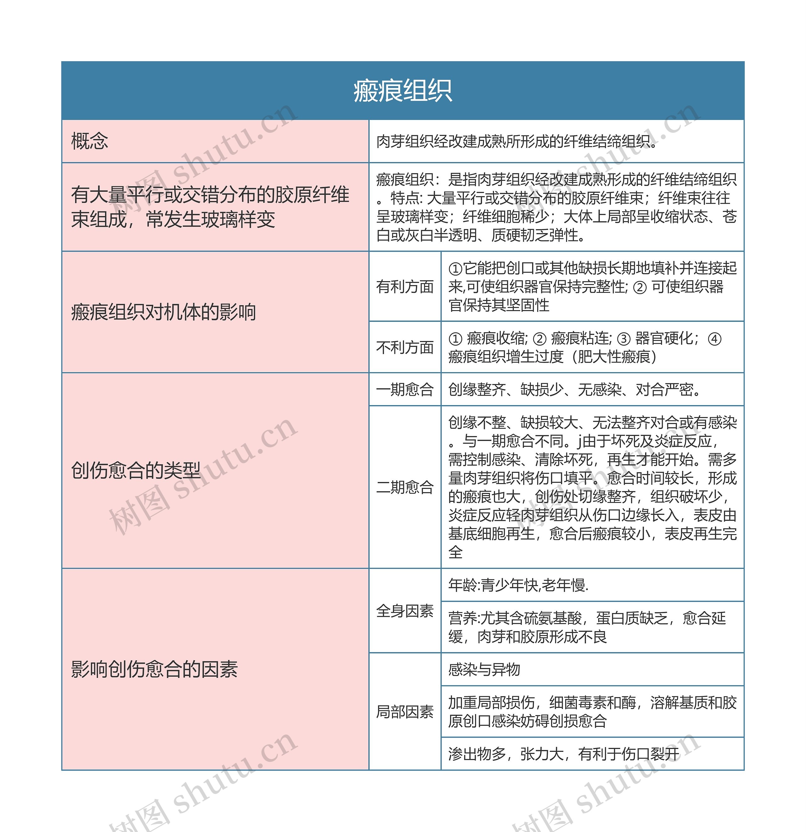 病理学  瘢痕组织思维导图