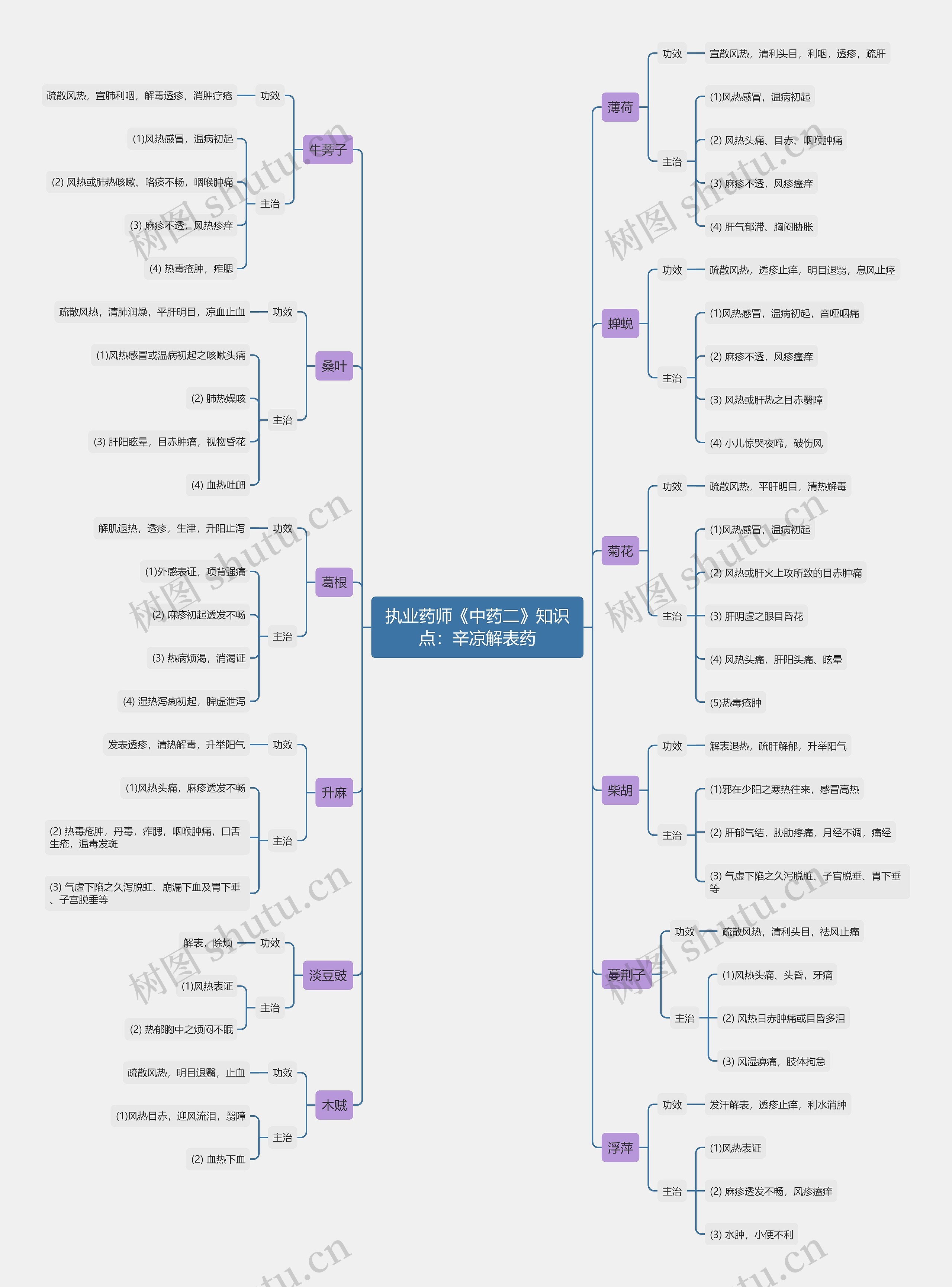 执业药师《中药二》知识点：辛凉解表药思维导图