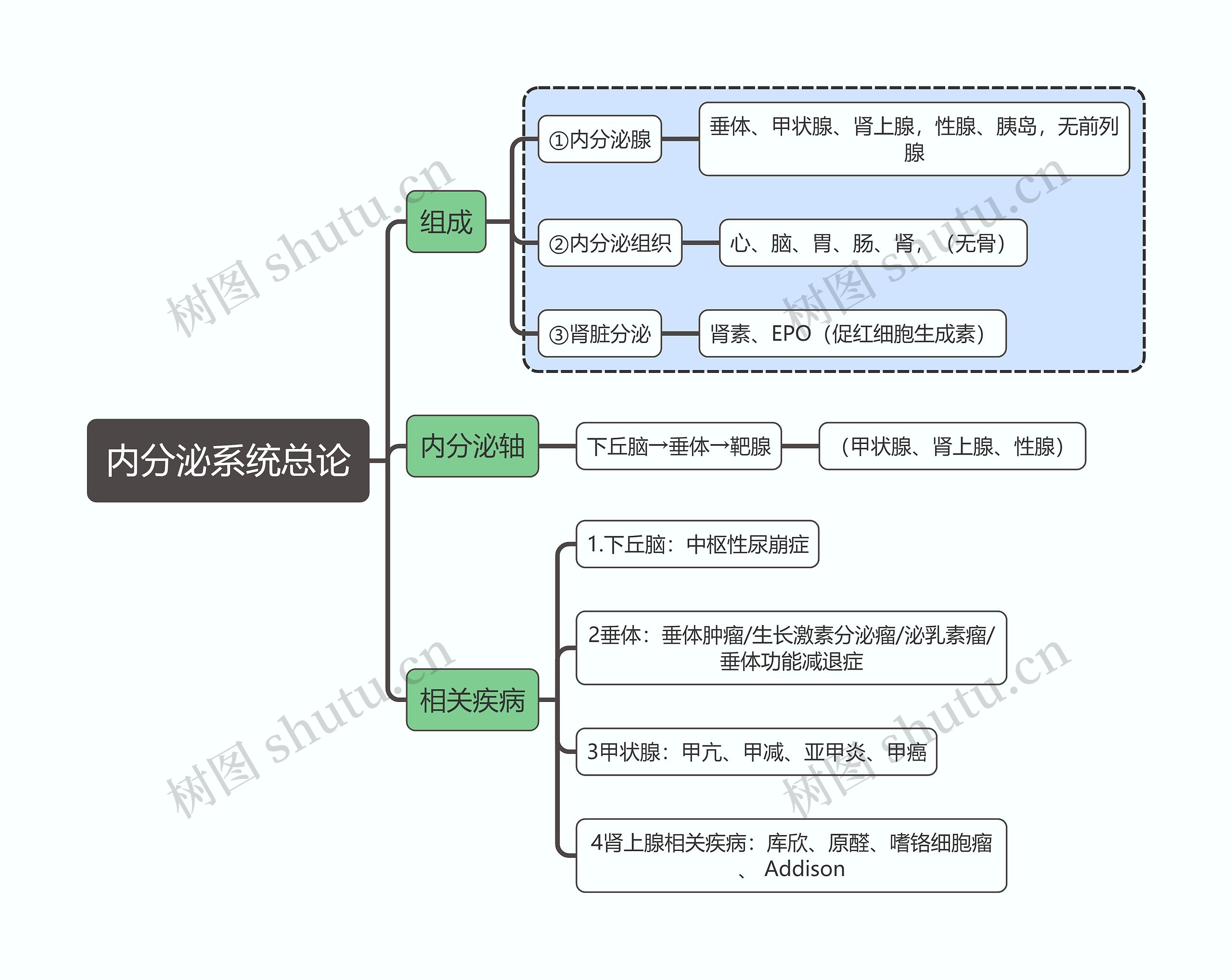 内科学知识内分泌系统总论思维导图