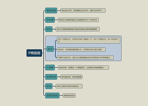 计算机考试知识IP数据报思维导图