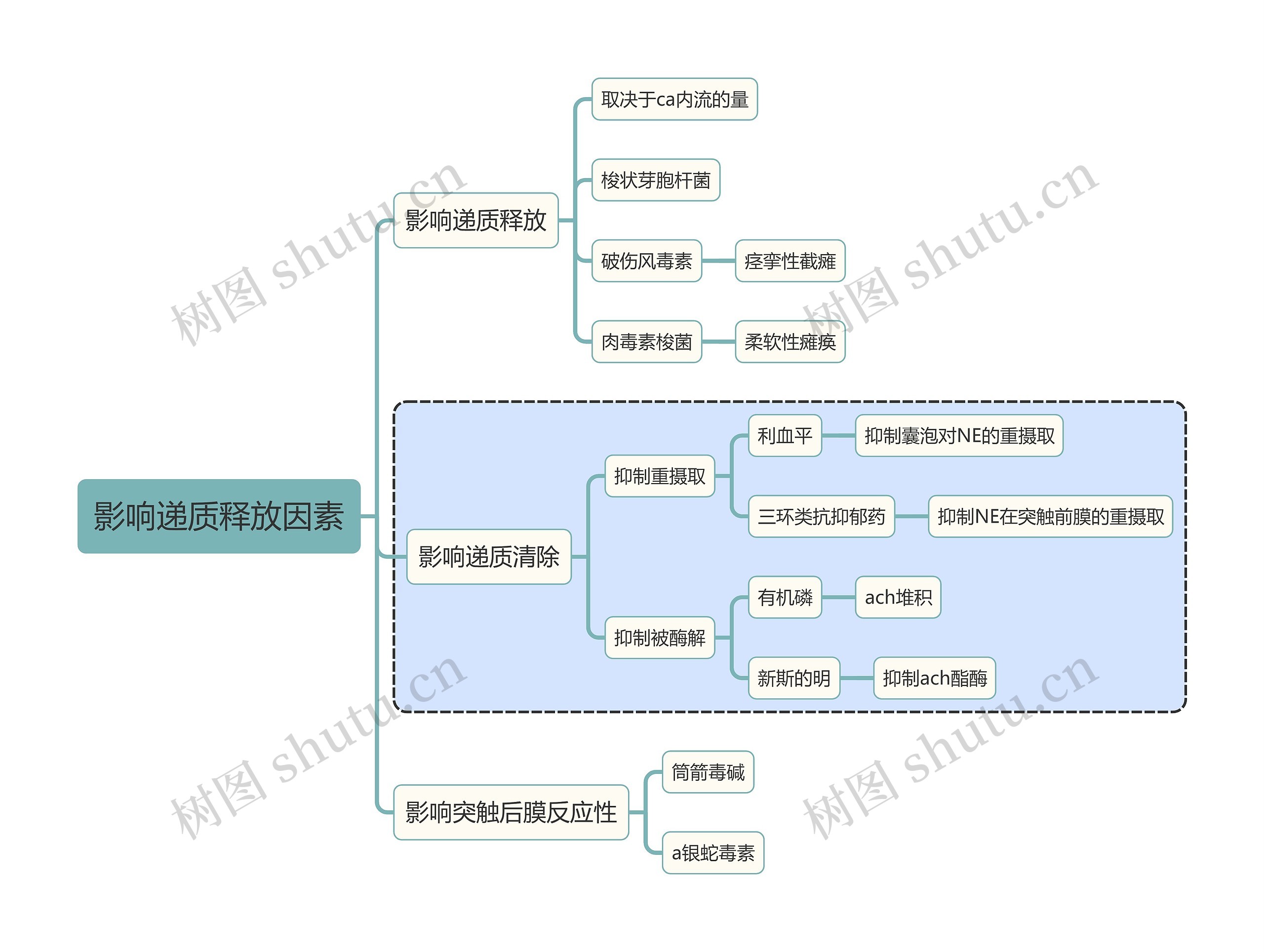 医学知识影响递质释放因素思维导图