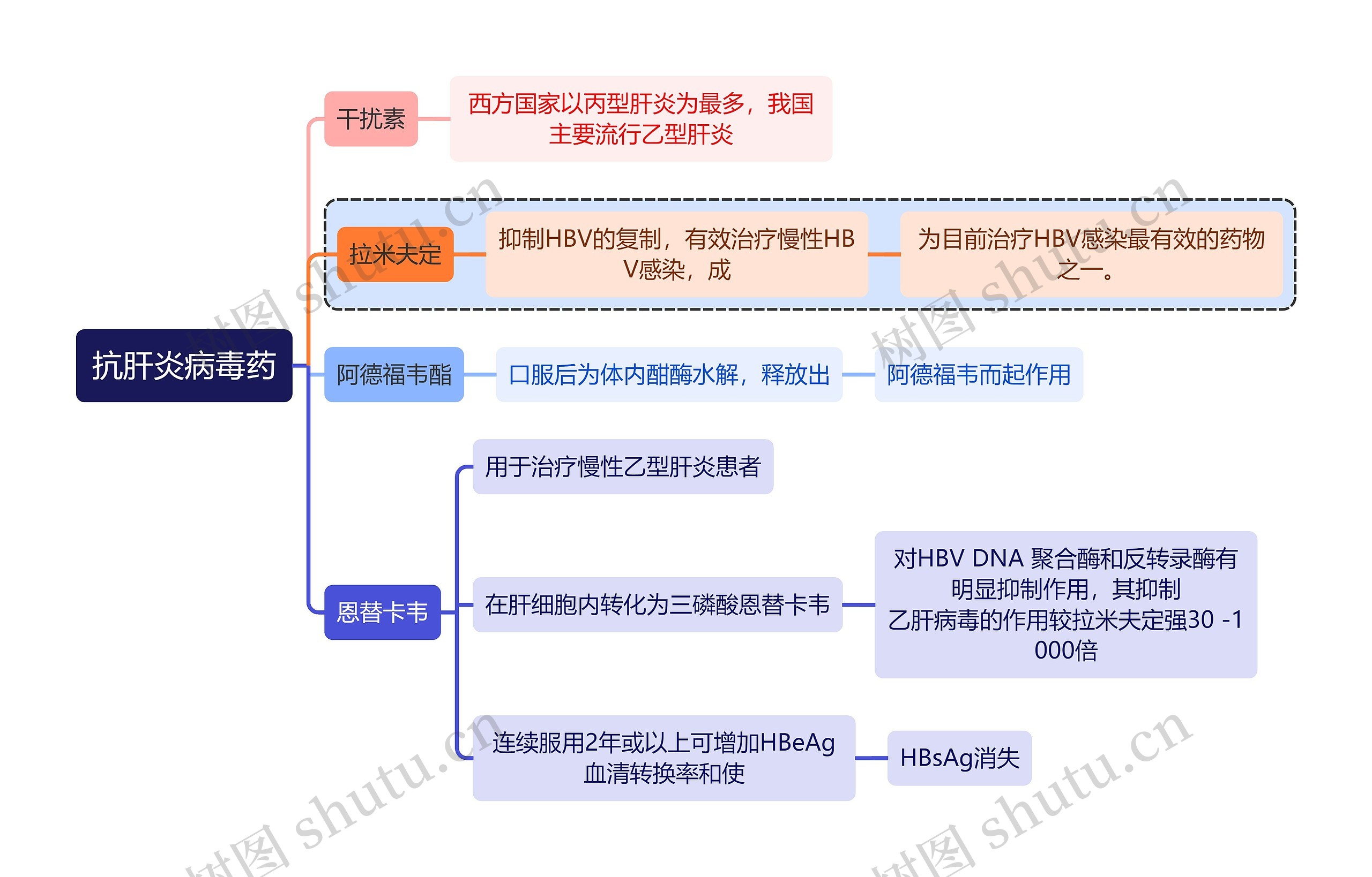 医学抗肝炎病毒药思维导图