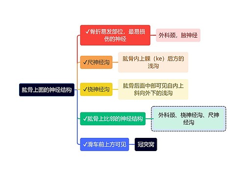 医学知识肱骨上面的神经结构思维导图