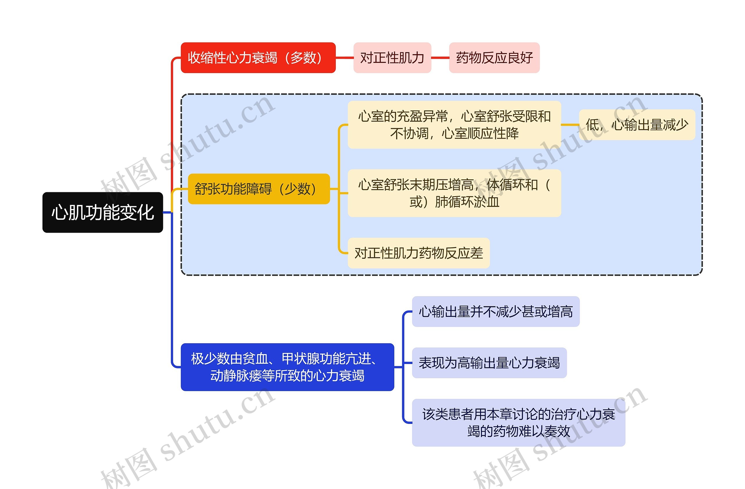 医学心肌功能变化思维导图