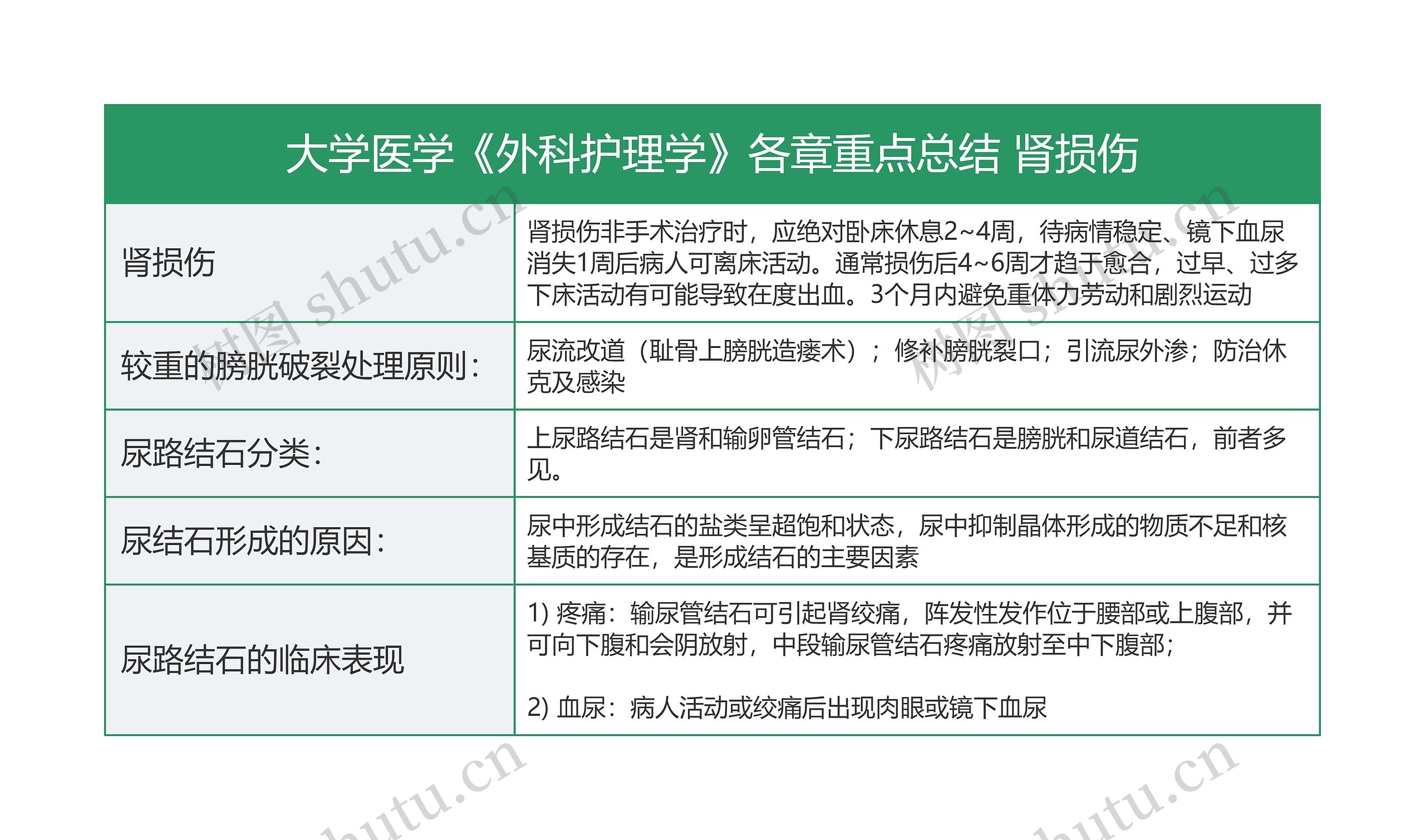 肾损伤的护理思维导图